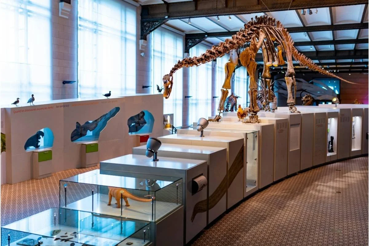 Camp Curious at the Grand Rapids Public Museum – Grand Rapids, MI