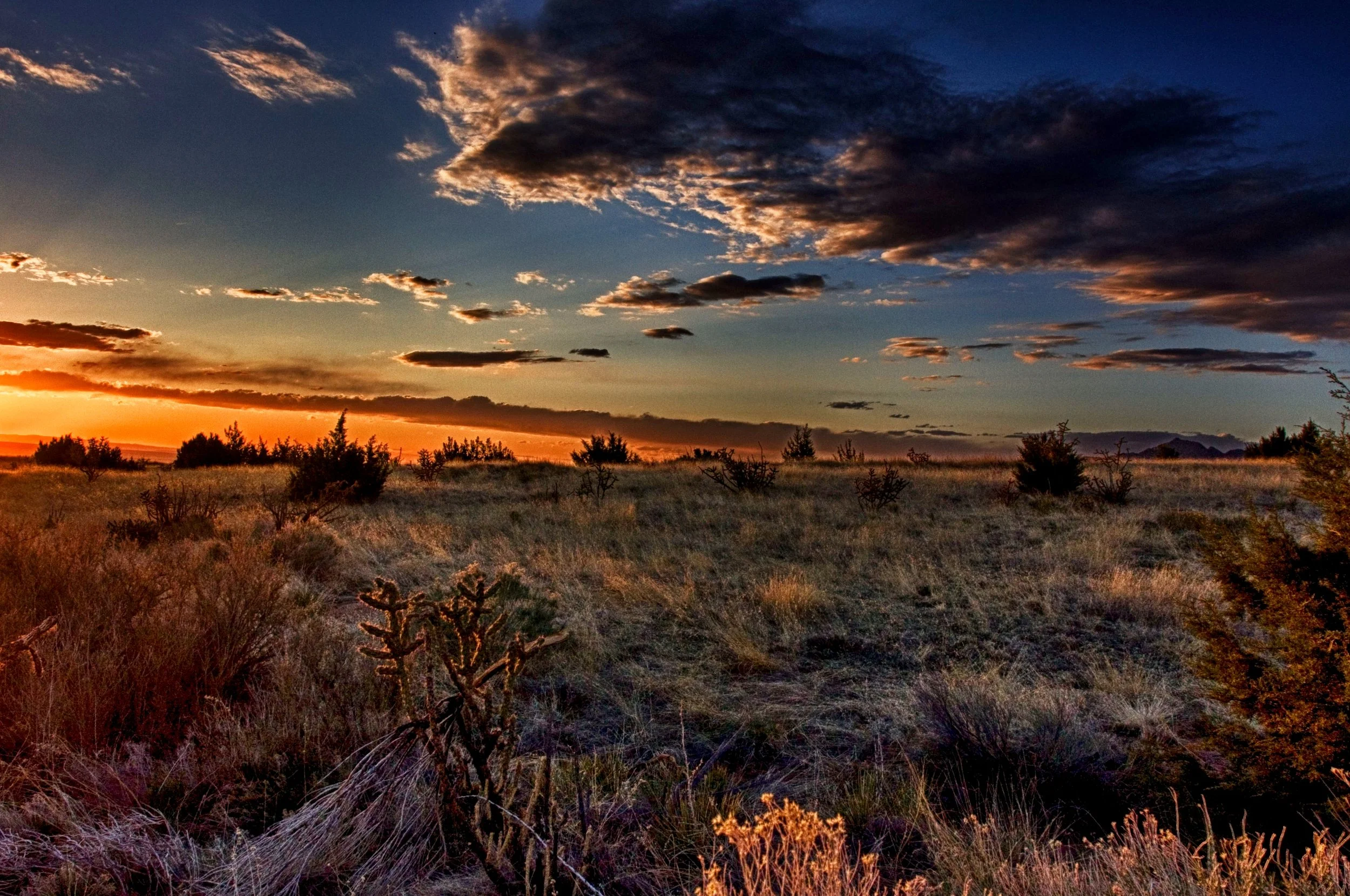 Albuquerque sunset1.jpg