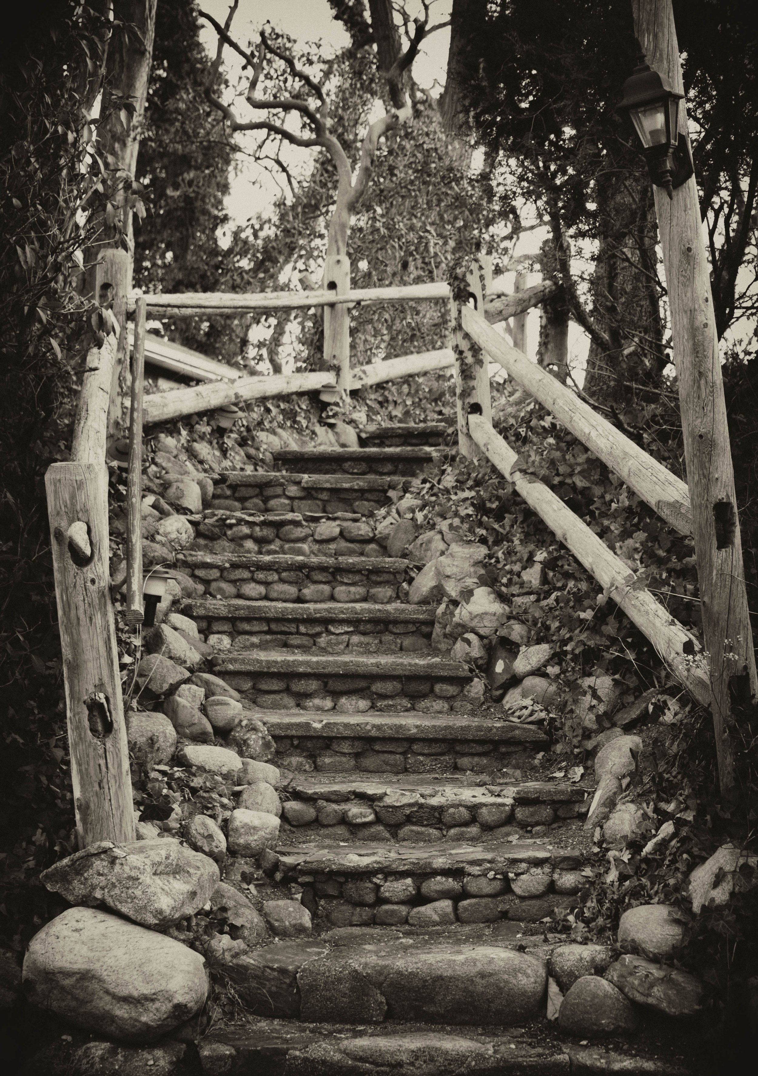 stairs b&w.jpg