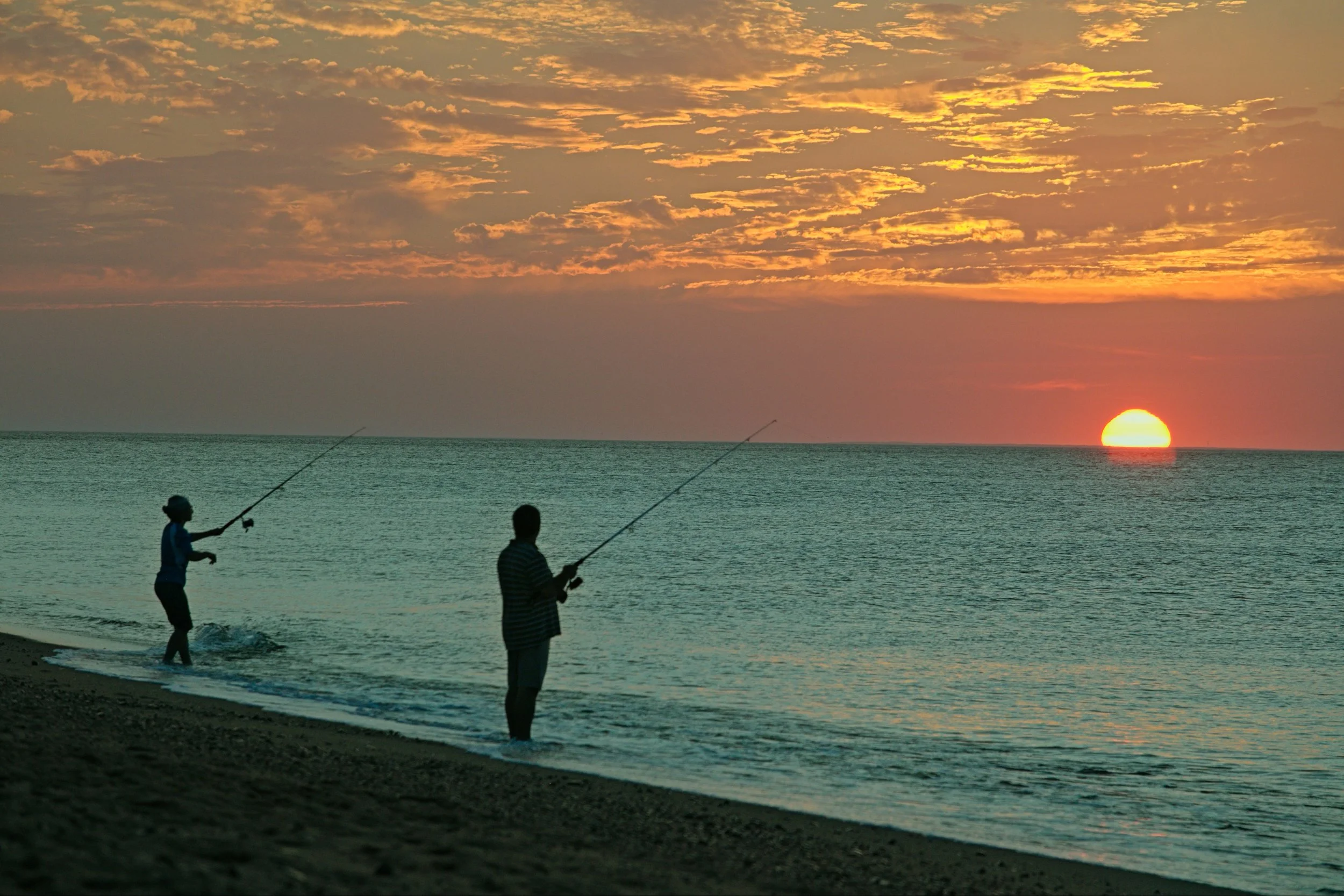 Sunset Silhouette.jpg