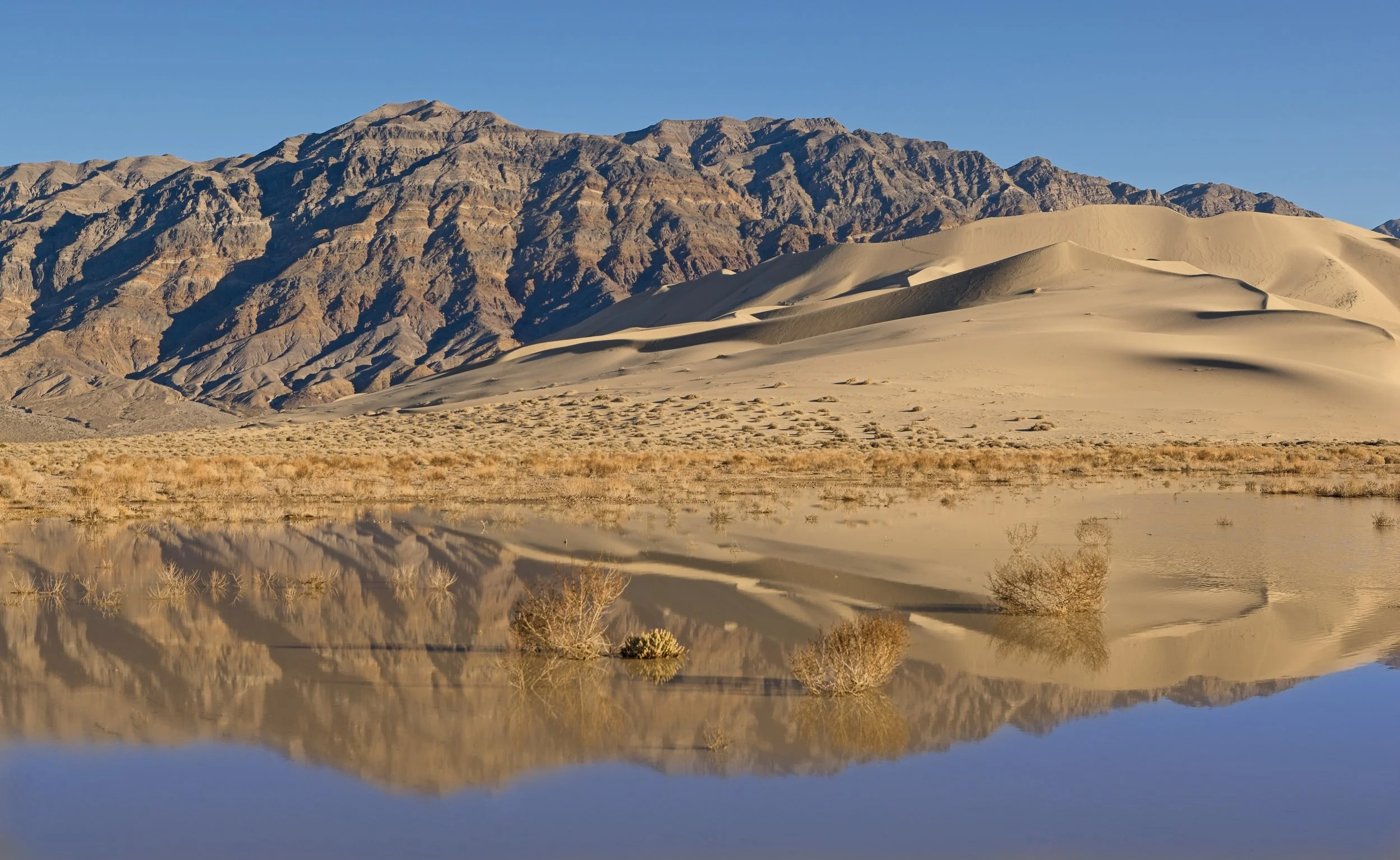 Dunes Reflection.jpg