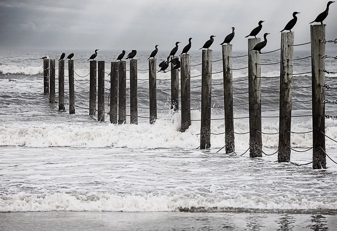 Currituck Outer Banks.jpeg