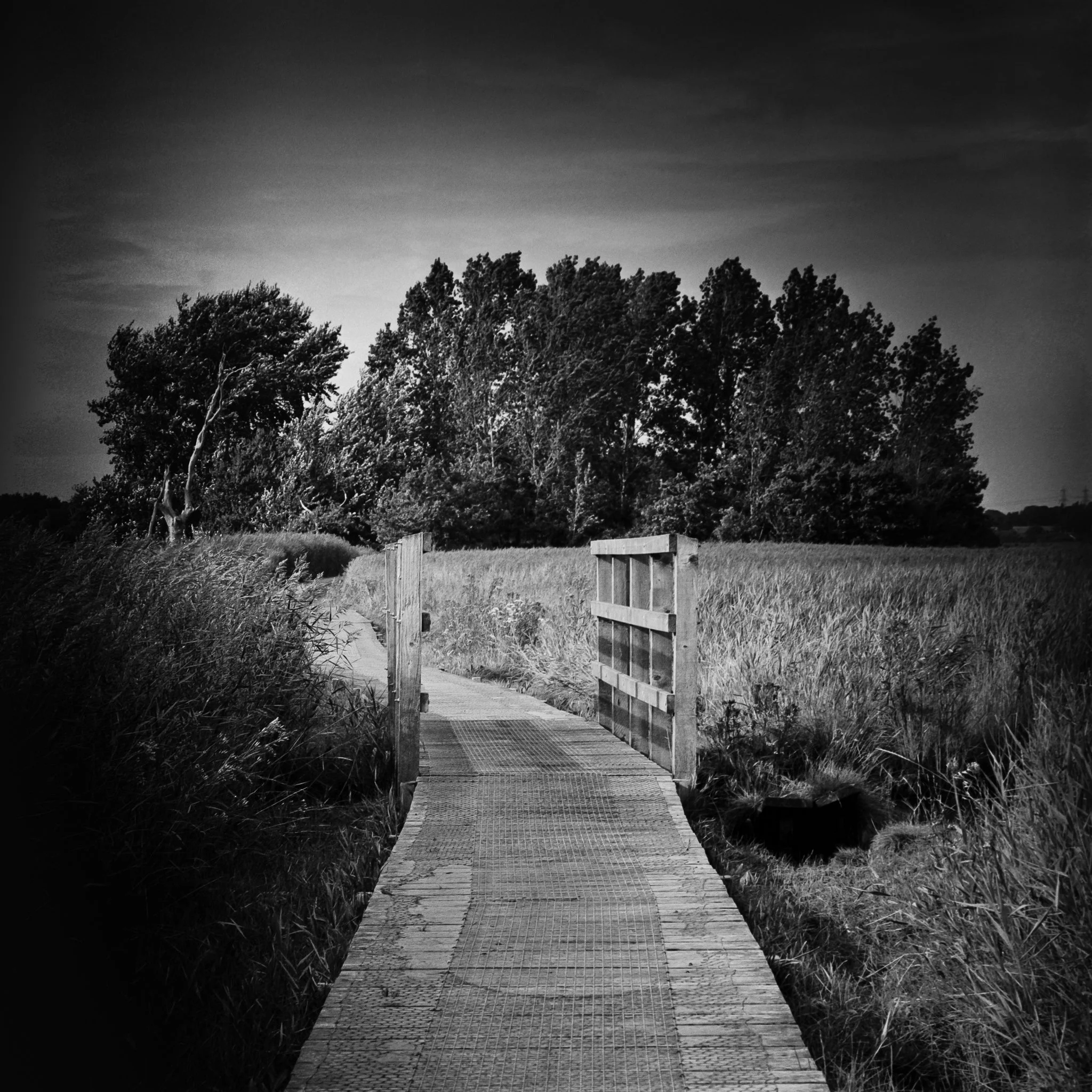 The Path Leading To The Woods, Iken, Suffolk.jpg
