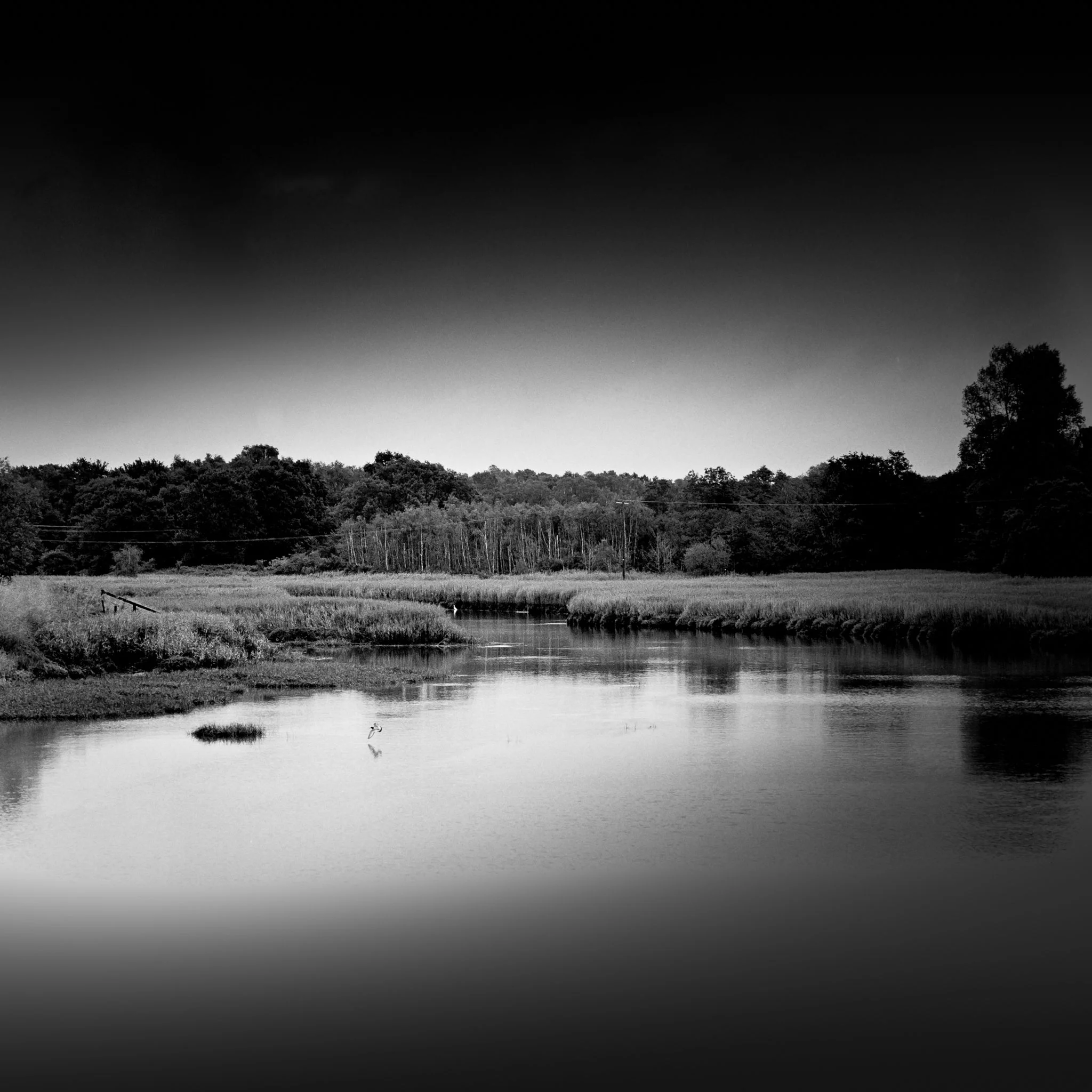The Oyster Catcher And The Egret, River Deben, Suffolk.-positive.jpg