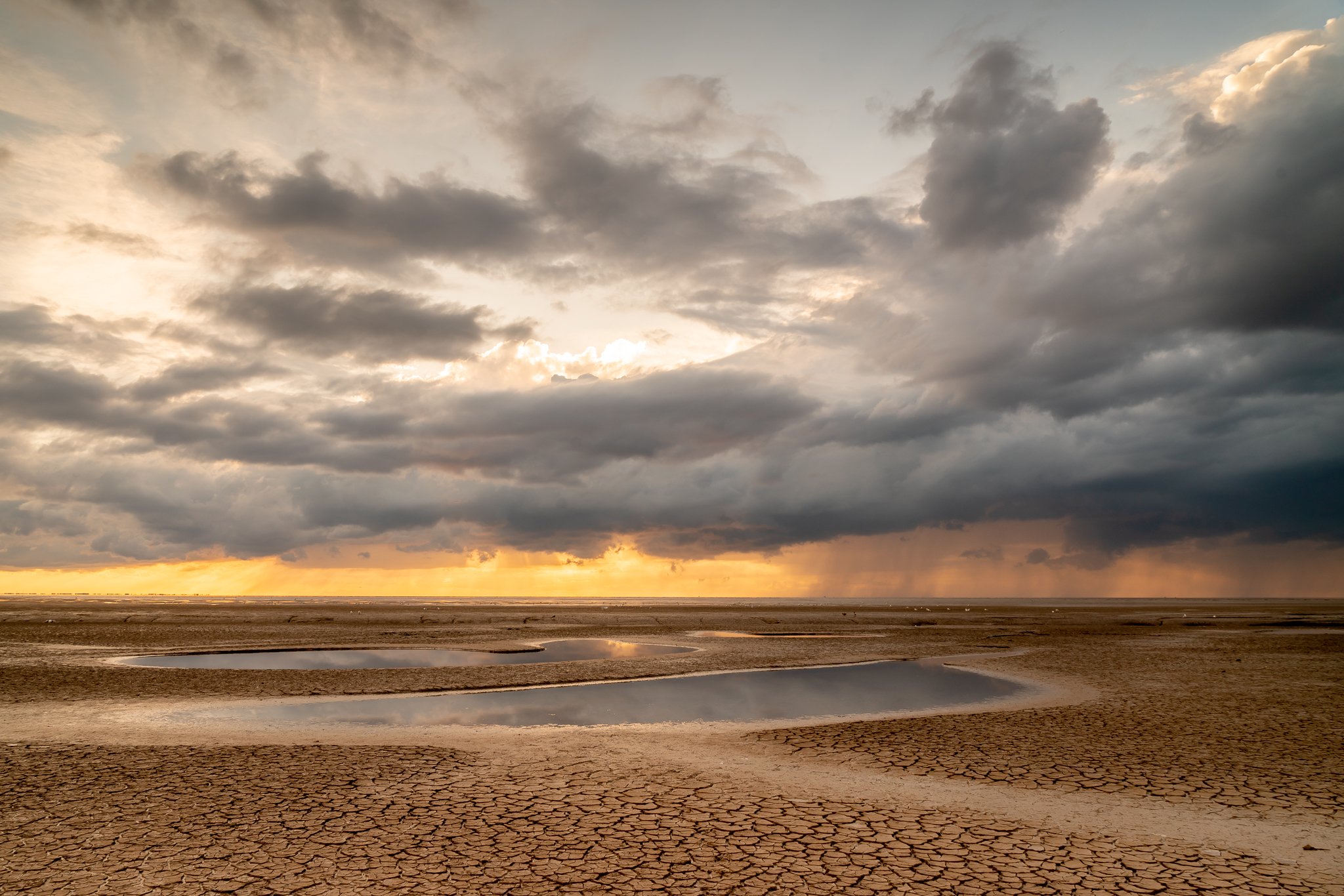 Snetttisham Study 1, Snettisham, Norfolk.jpg