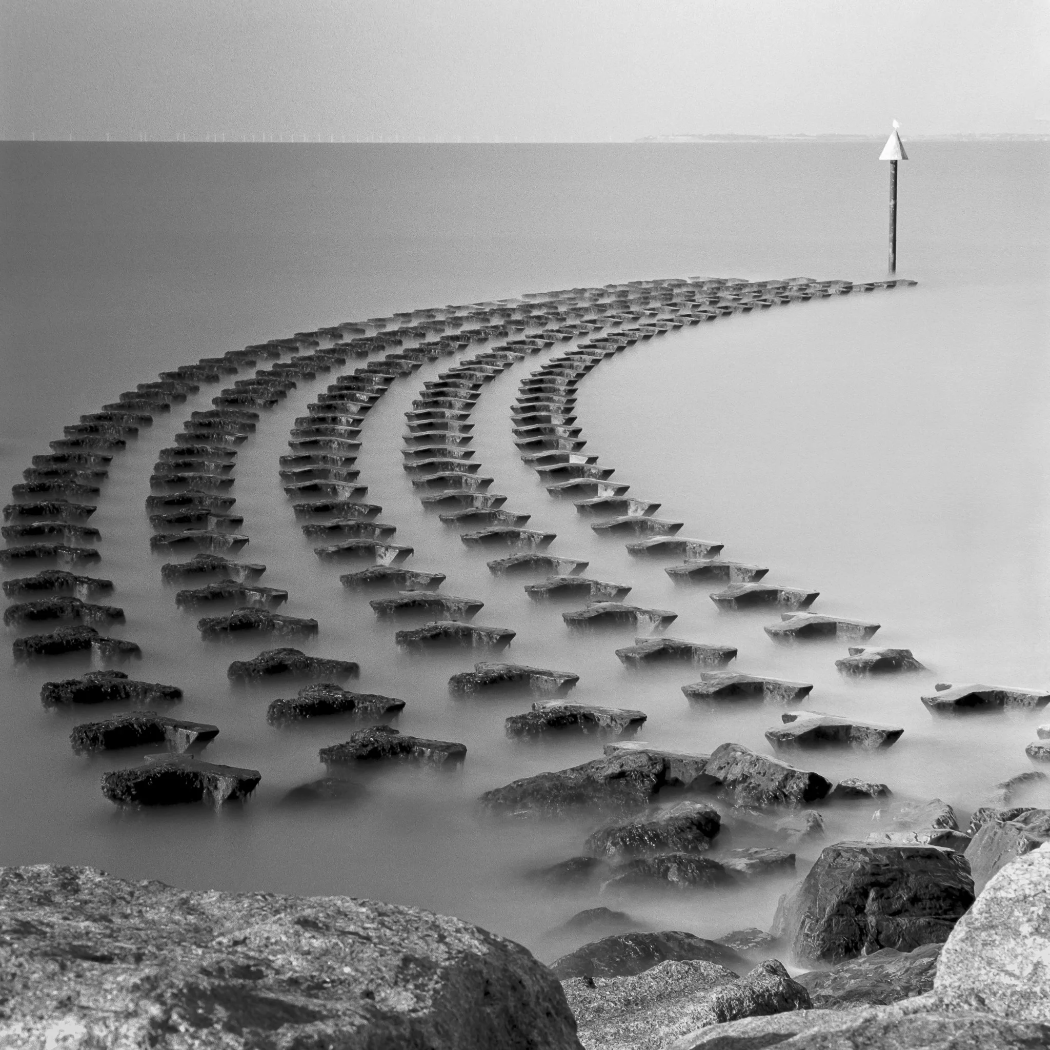 Nature's Power, Cobbolds Point, Felixstowe, Suffolk.jpg