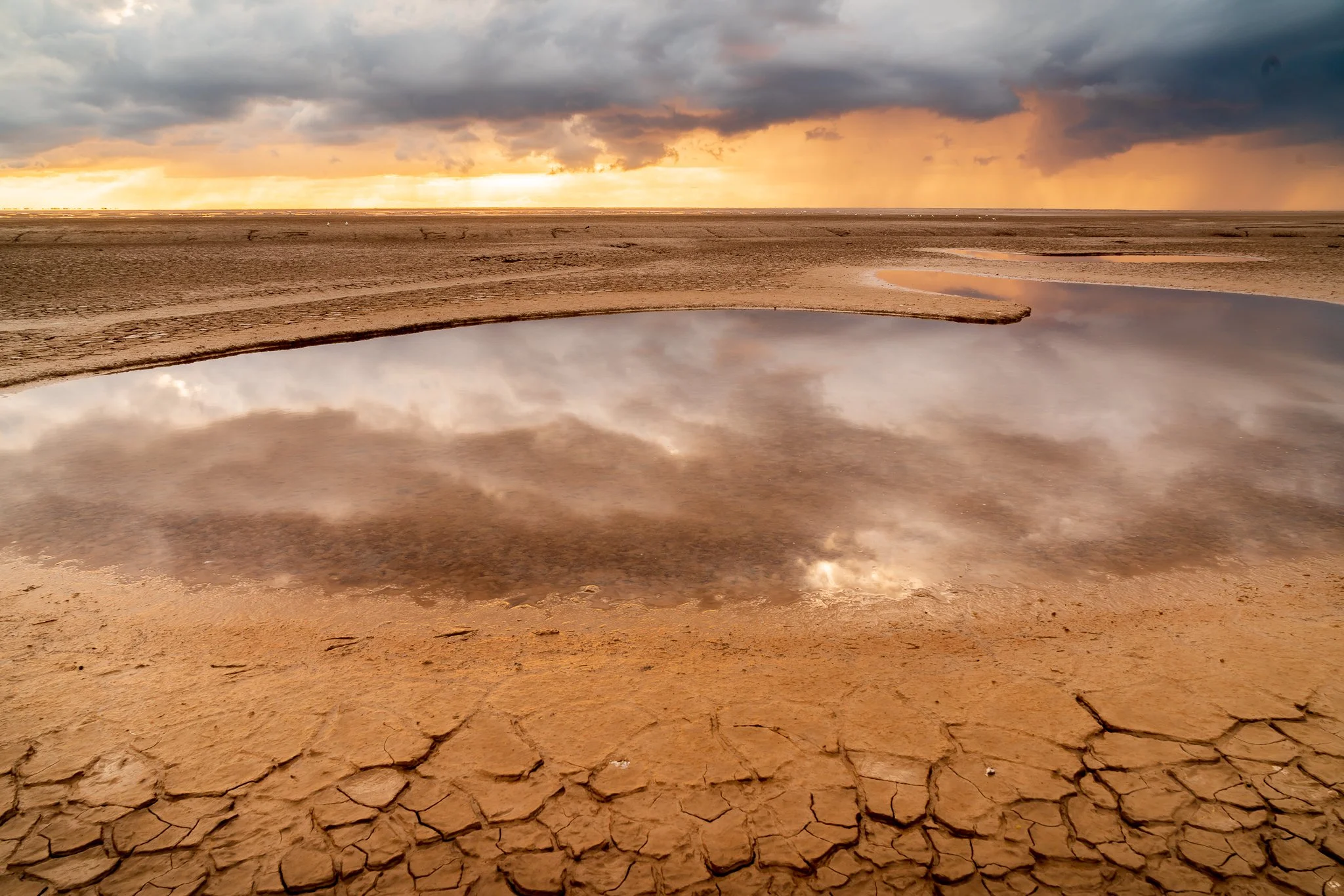 Snetttisham Study 4, Snettisham, Norfolk.jpg