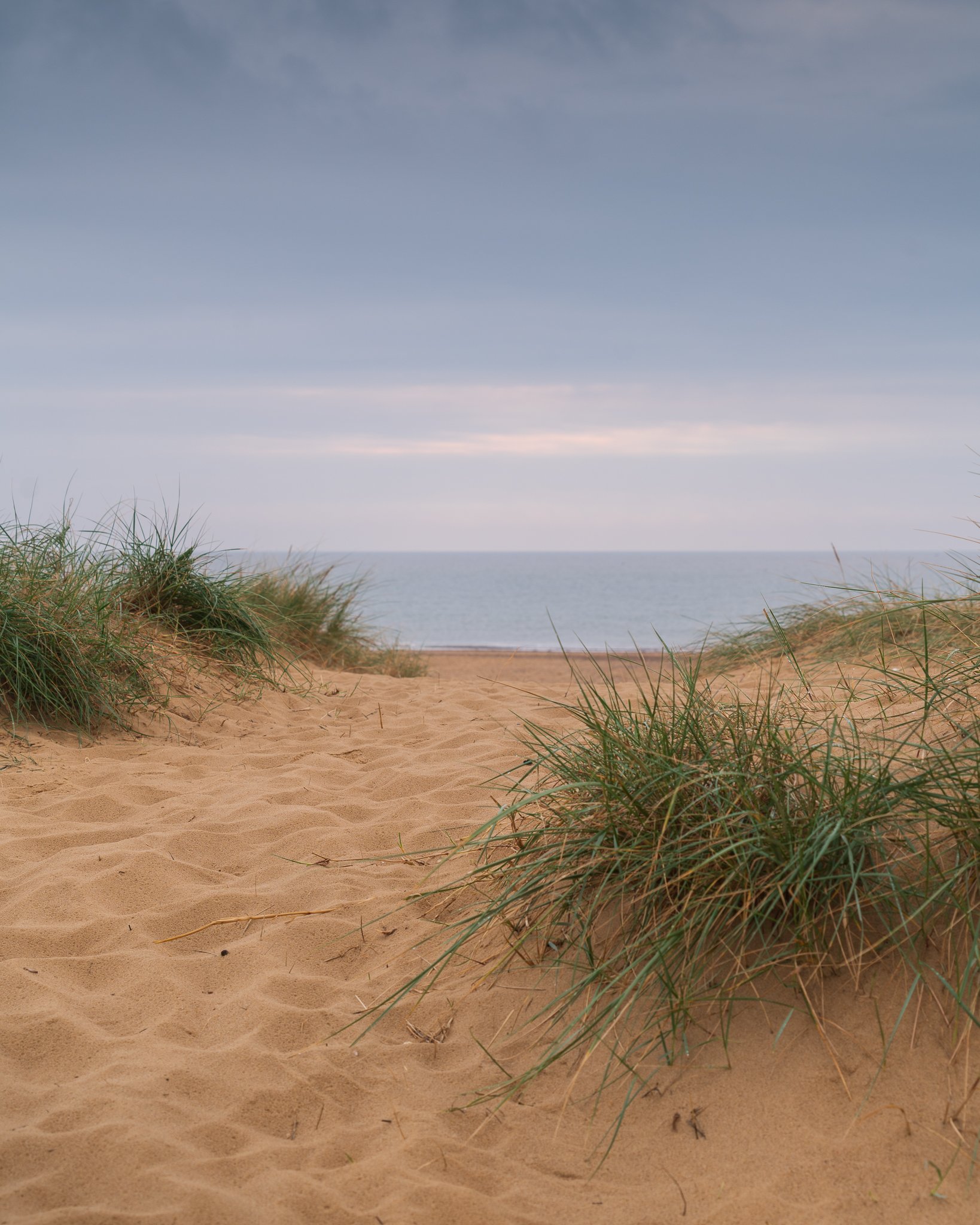 Dunes, Southwold Beach, Suffolk.jpg