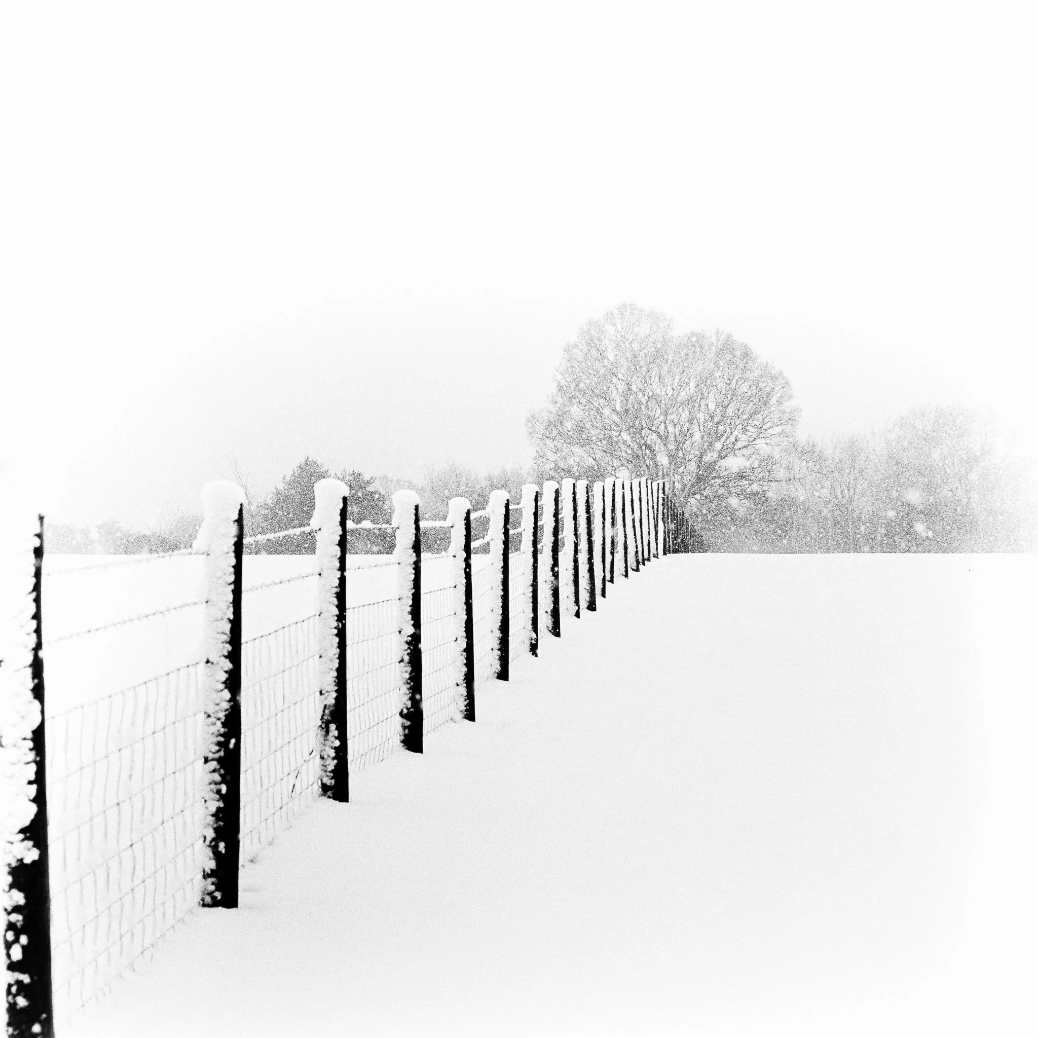 Campsea Ashe, Suffolk, In The Snow, Feb 2021 Study 4.jpg