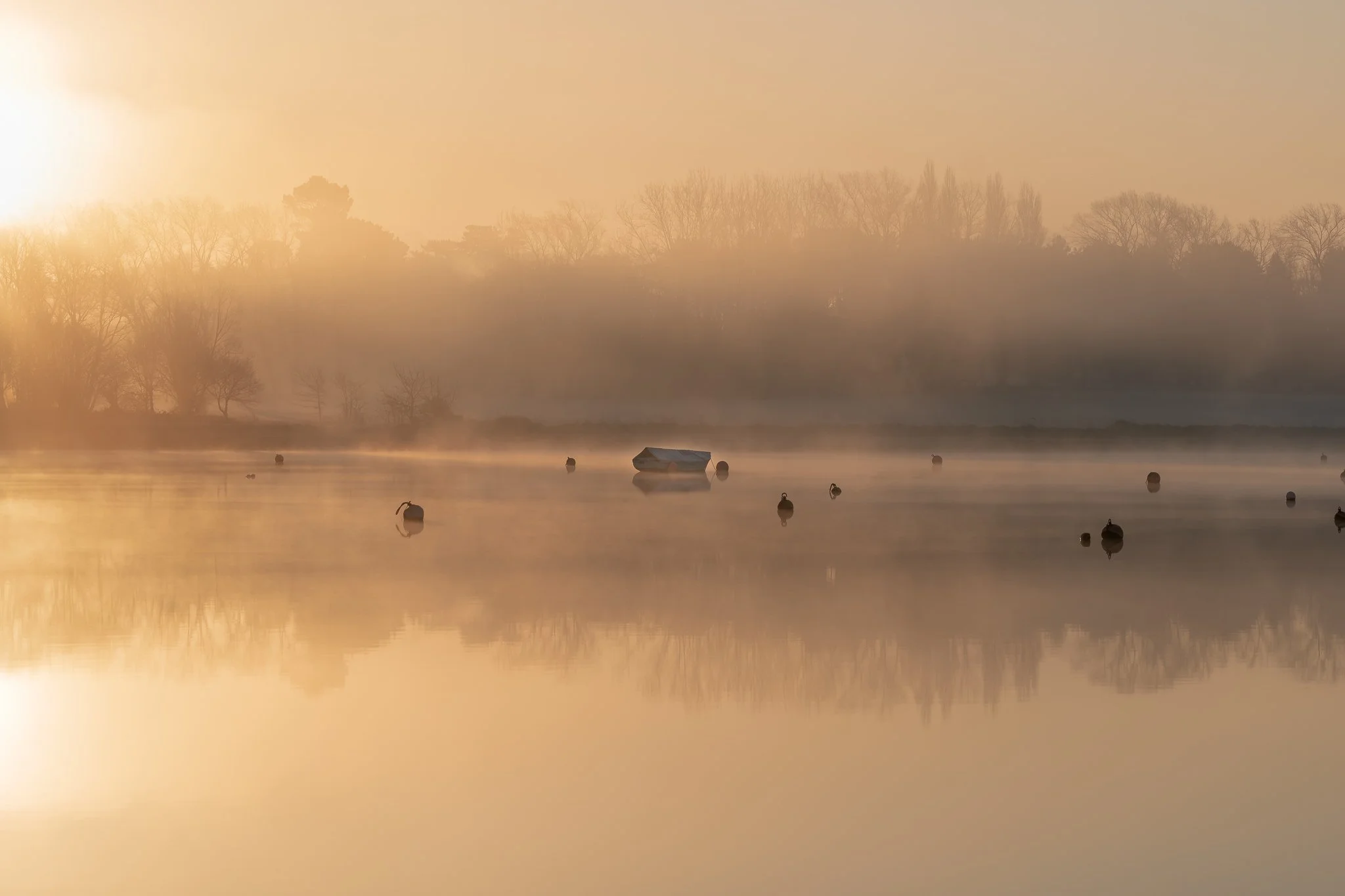 %22Golden Mist%22 River Deben, Woodbridge, Suffolk.jpg