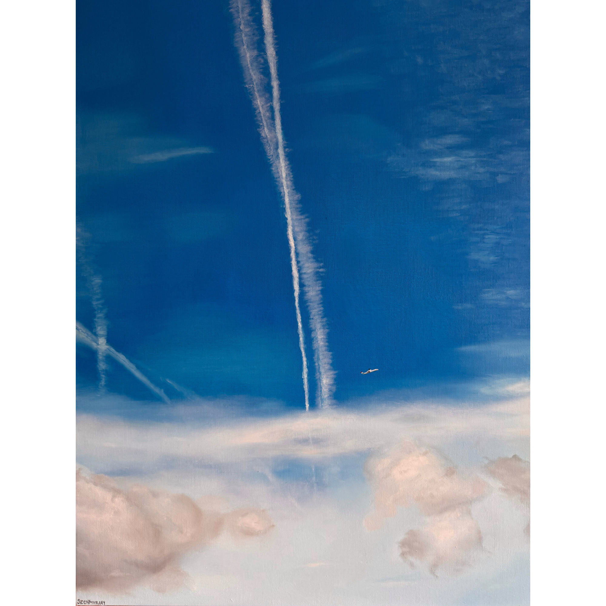          Untitled, 2025, oil on canvas - 80 x 100 cm