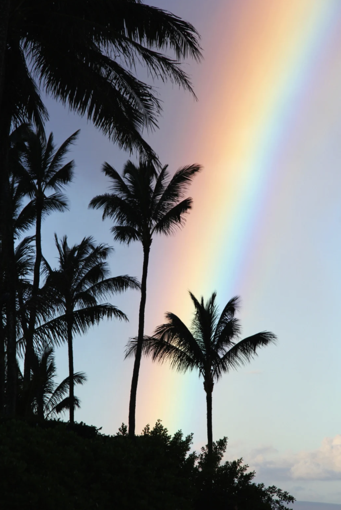 🌧️ The Best Rainy Day Activities for Kids on Maui
