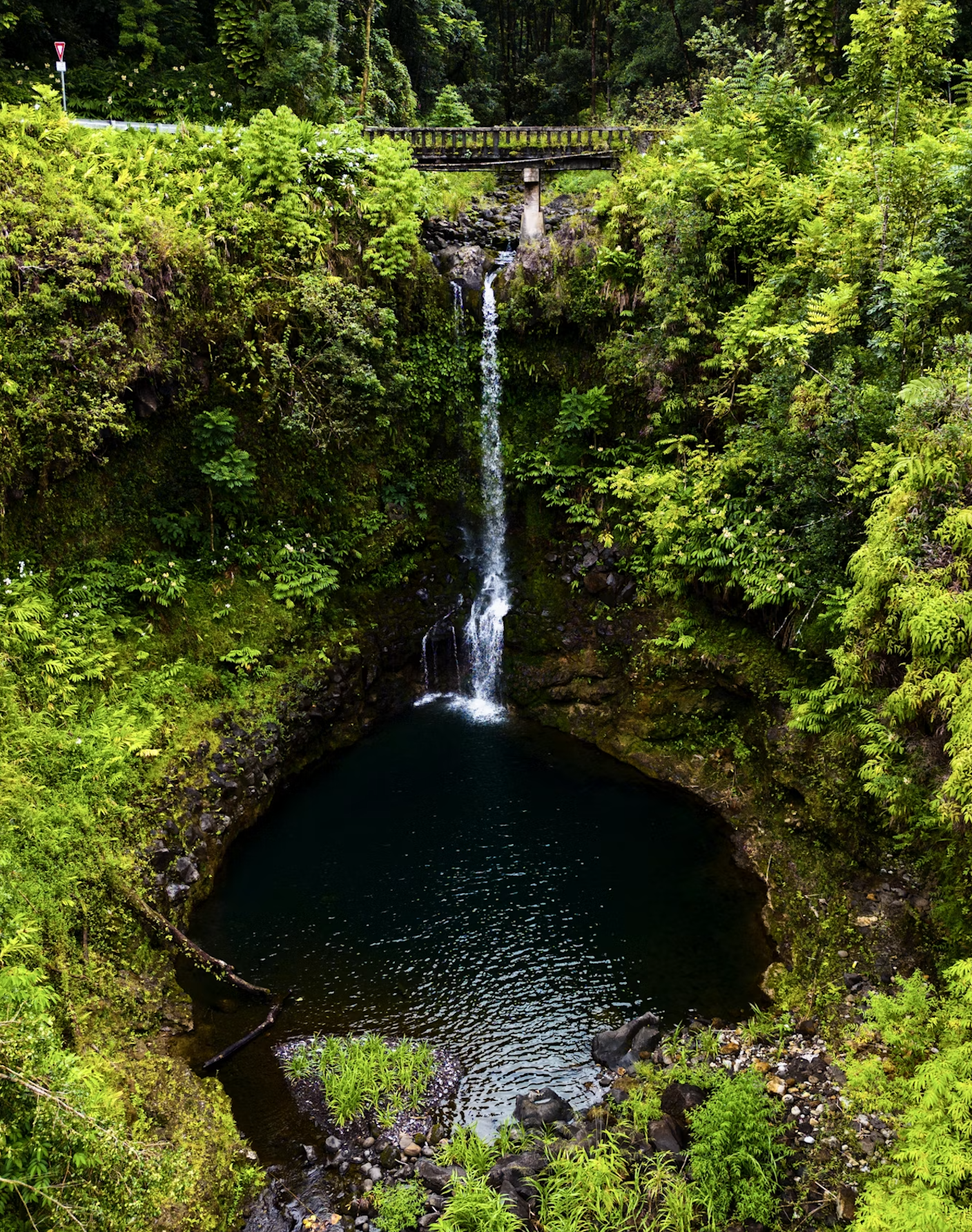 Should You Bring Your Kids on the Road to Hana? What Local Parents Actually Do