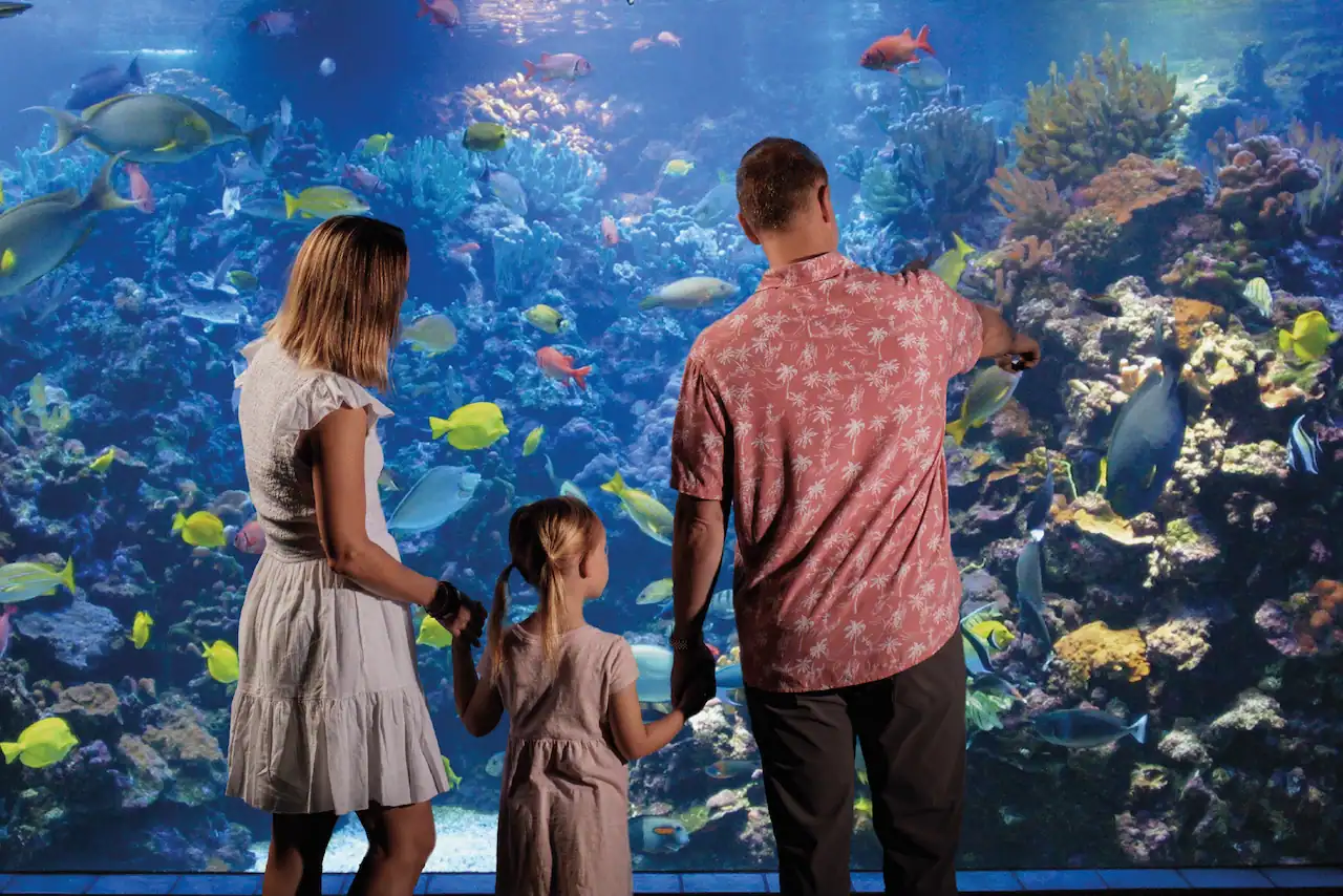 Family exploring marine life exhibits at Maui Ocean Center