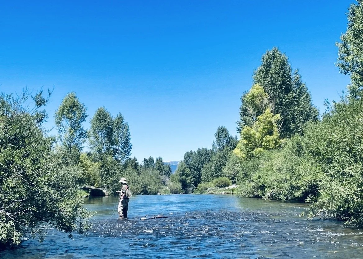 Breckenridge fly fishing