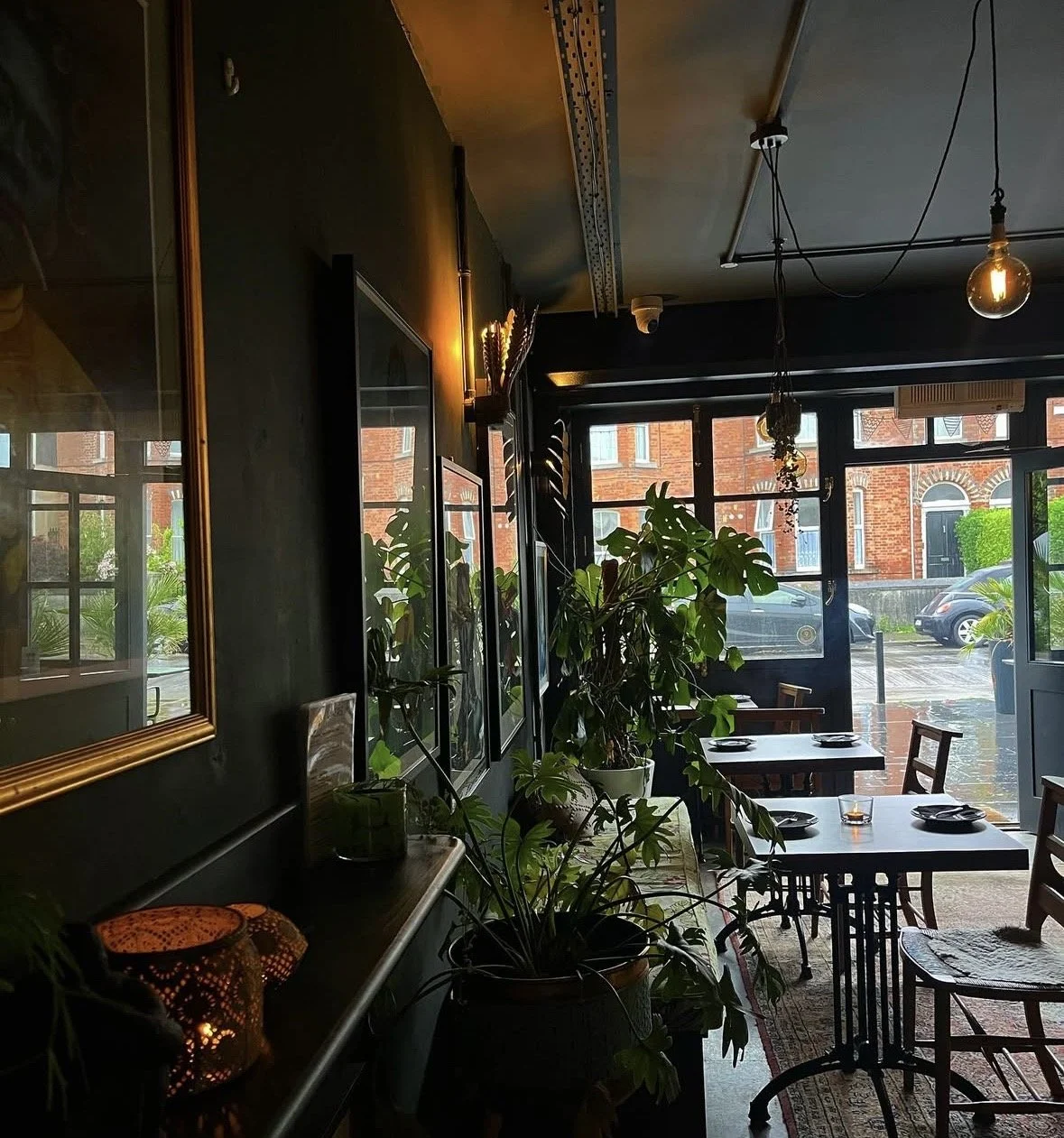 Interior of a cozy restaurant with large windows showing a street view, decorated with green plants, framed pictures, and warm lighting.