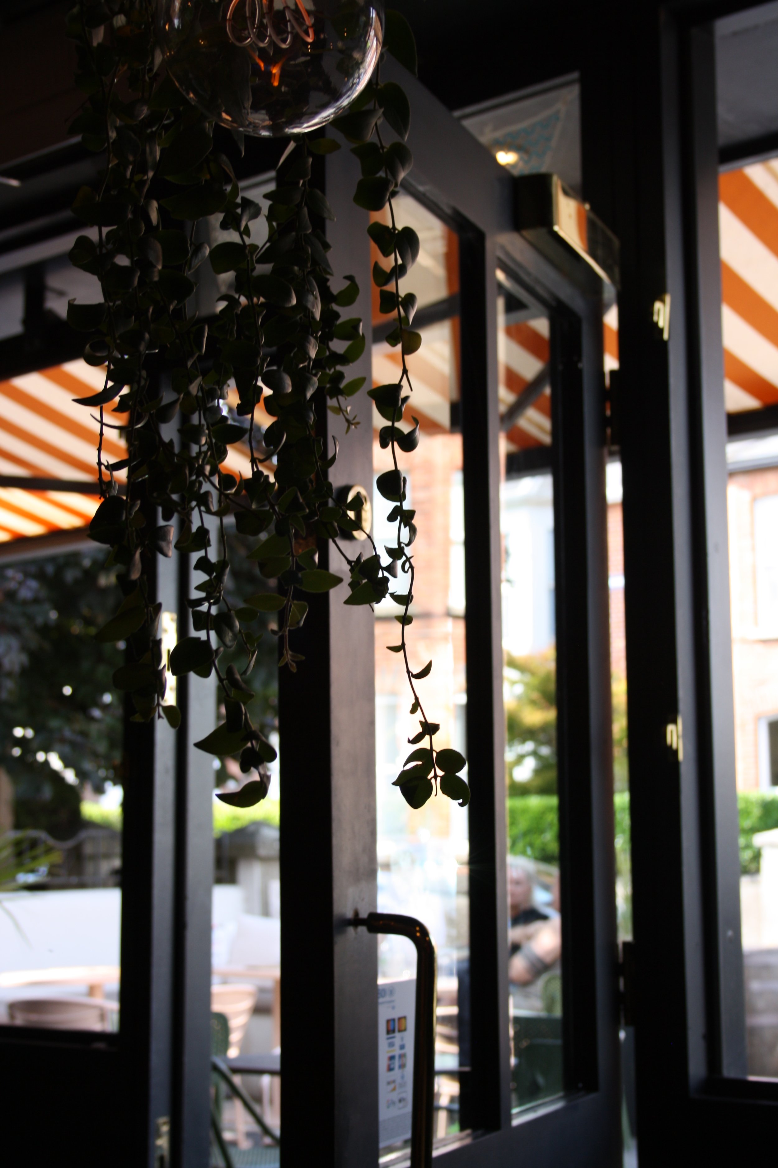 Indoor view of a restaurant or cafe with a black metal grid structure and hanging greenery, with outdoor seating visible through the windows and a person sitting outside in the background.