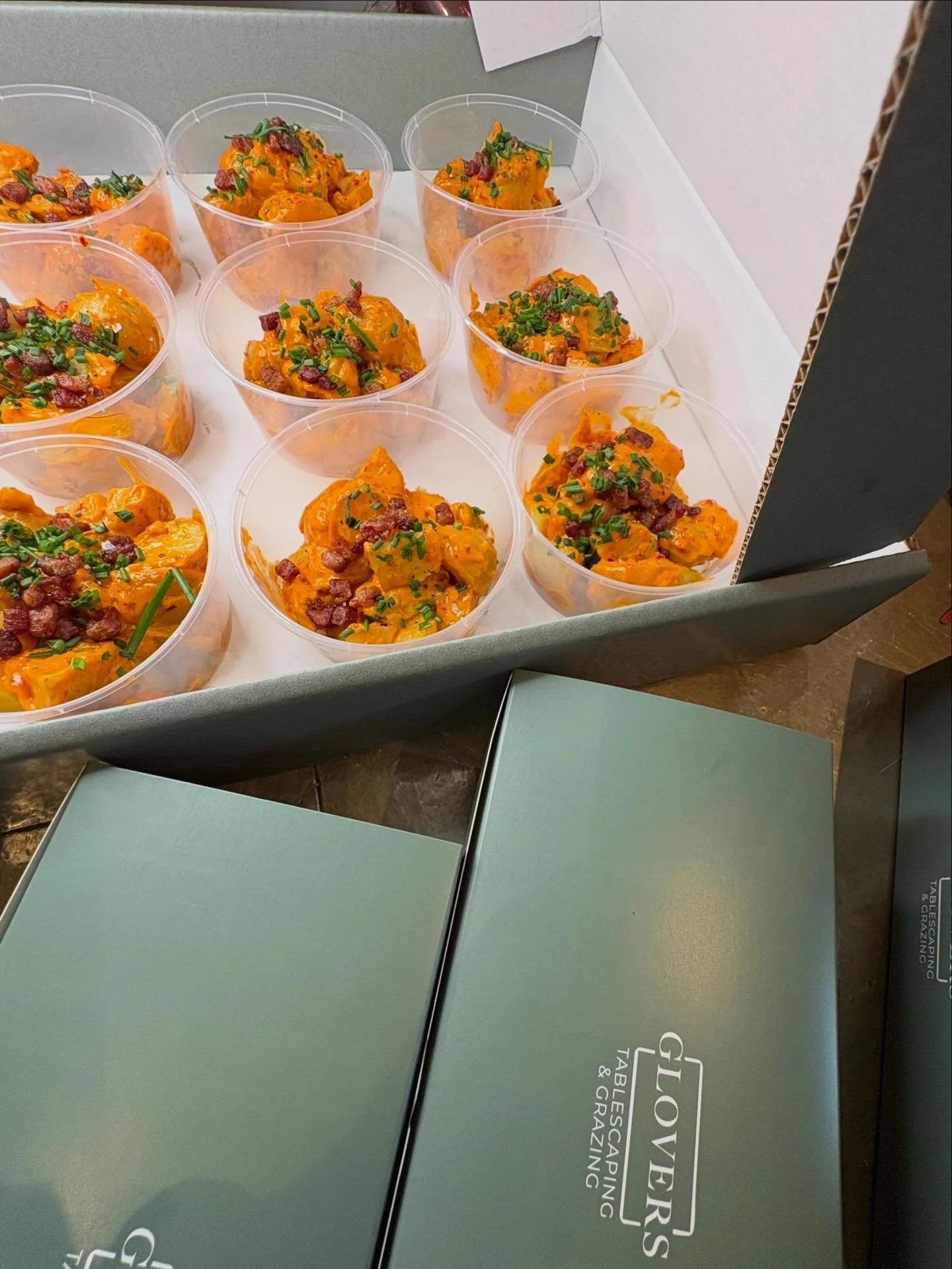 Glovers Salad Pots (x10)