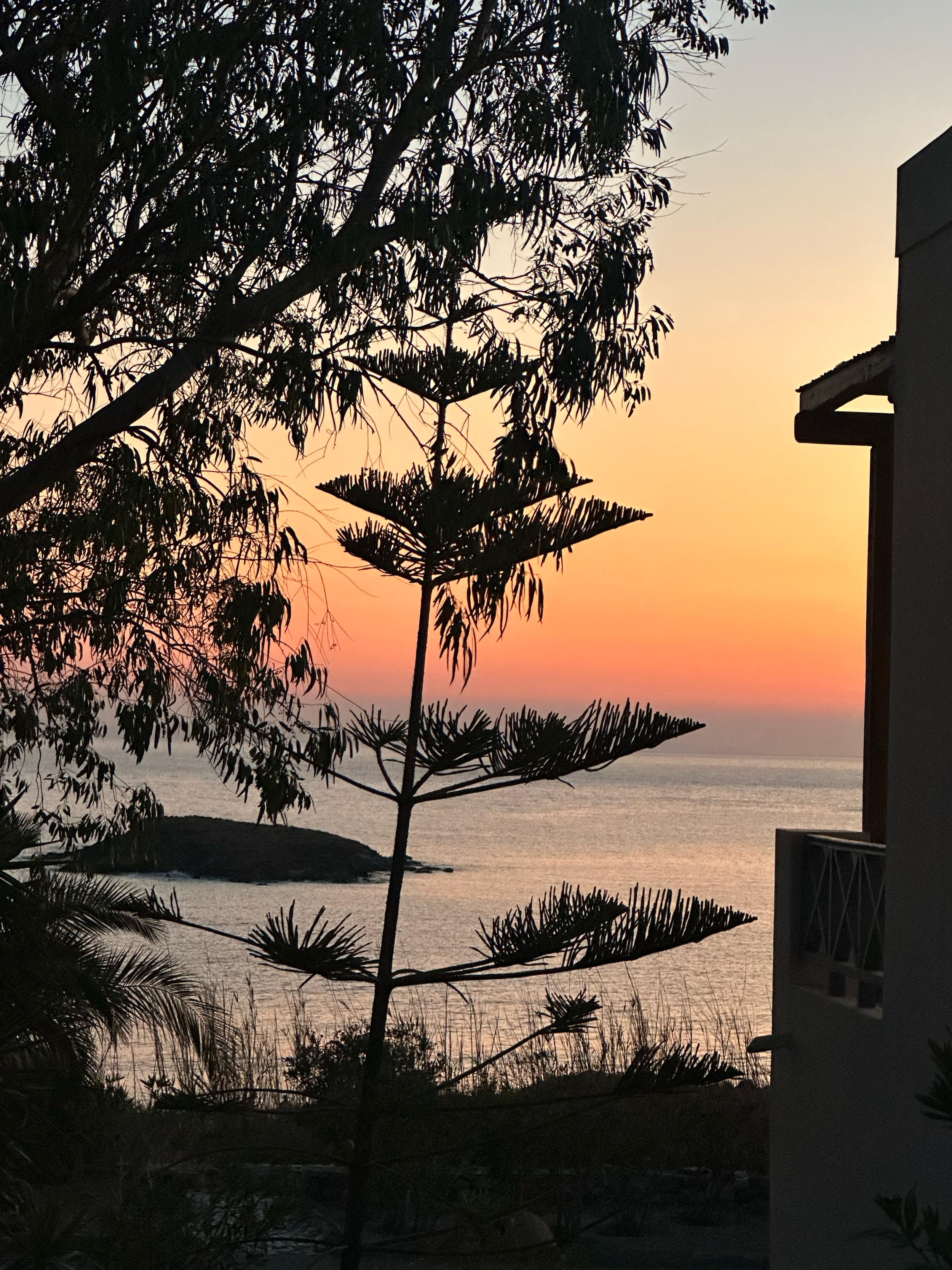 PHOTO-2025-12-11-12-33-39 5.jpg