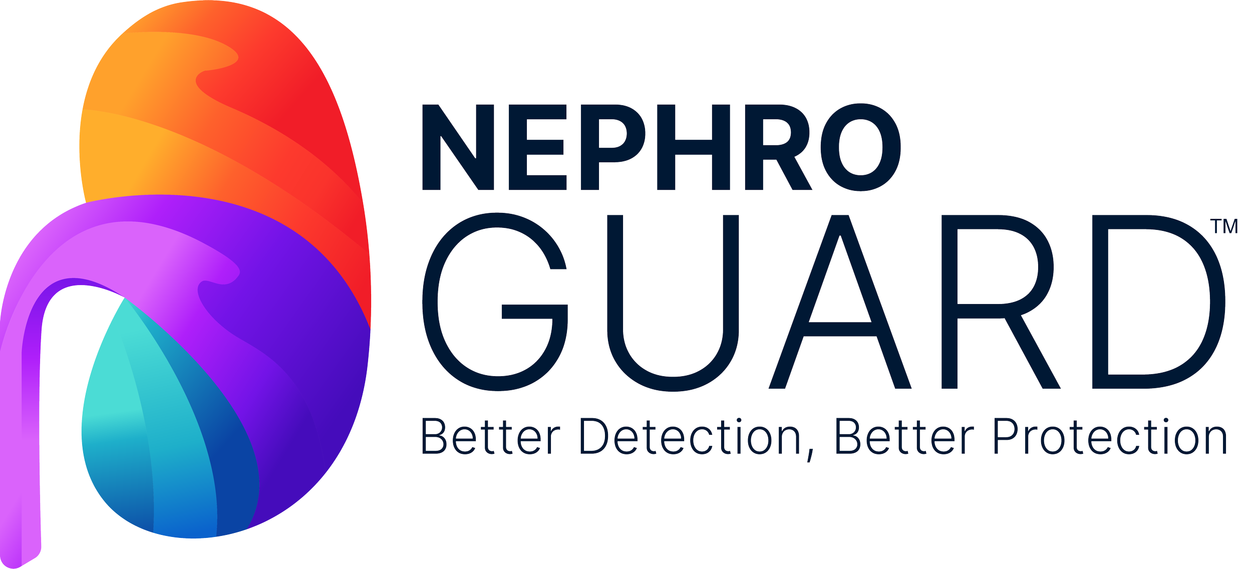 Logo for NephroGuard with a colorful abstract kidney shape and the slogan "Better Detection, Better Protection"