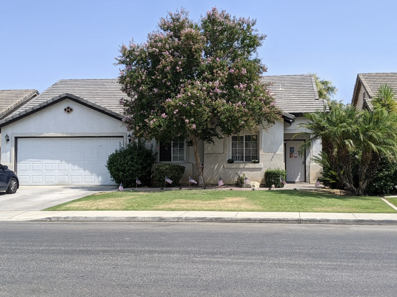 Front view of a single-family house with a white garage door, a small front lawn with American flags, a large flowering tree, and tropical plants, under a clear blue sky.