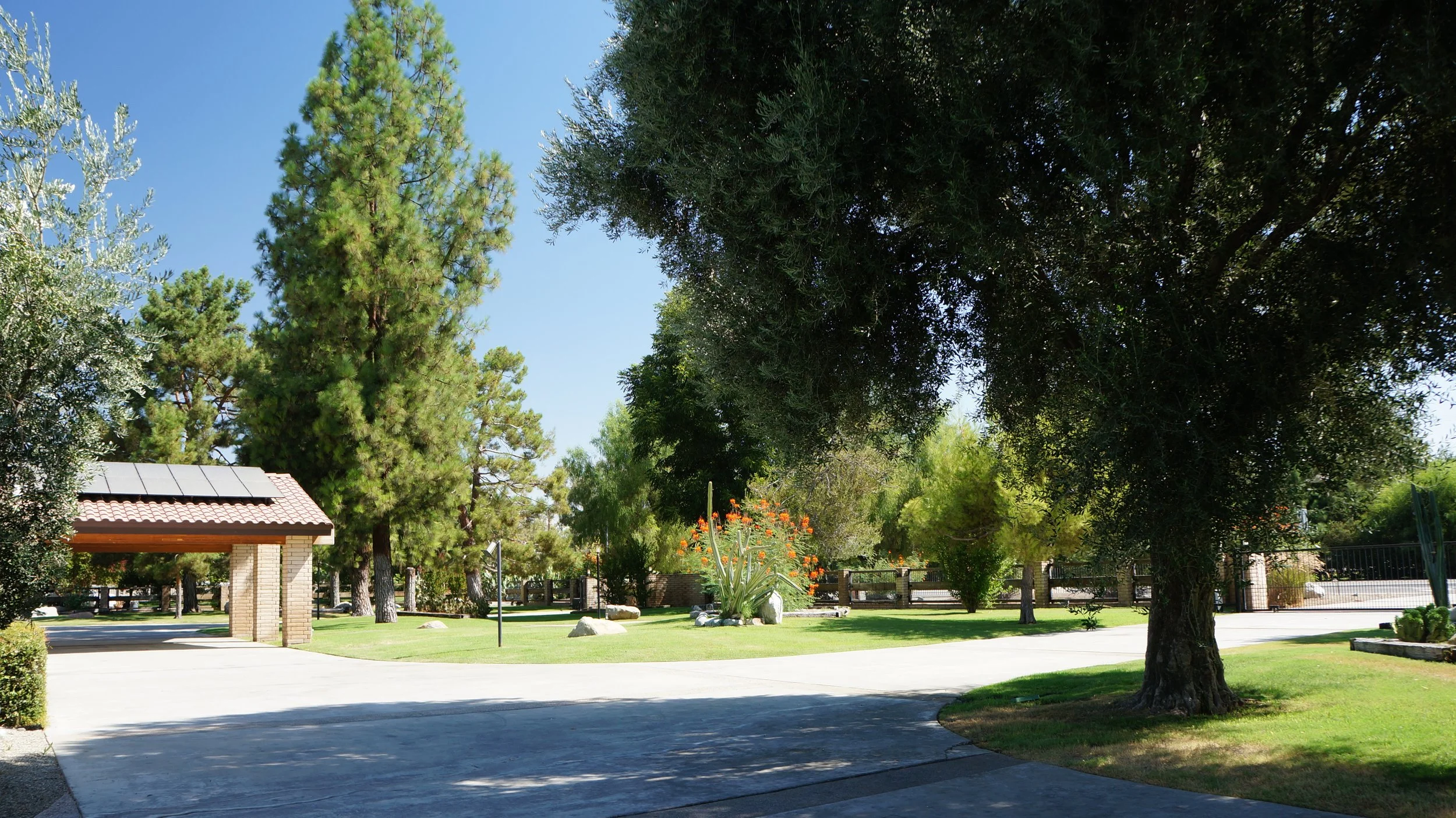 A sunny park with green trees, a small structure with a tiled roof and solar panels, a sidewalk, decorative plants, and a wooden fence in the background.