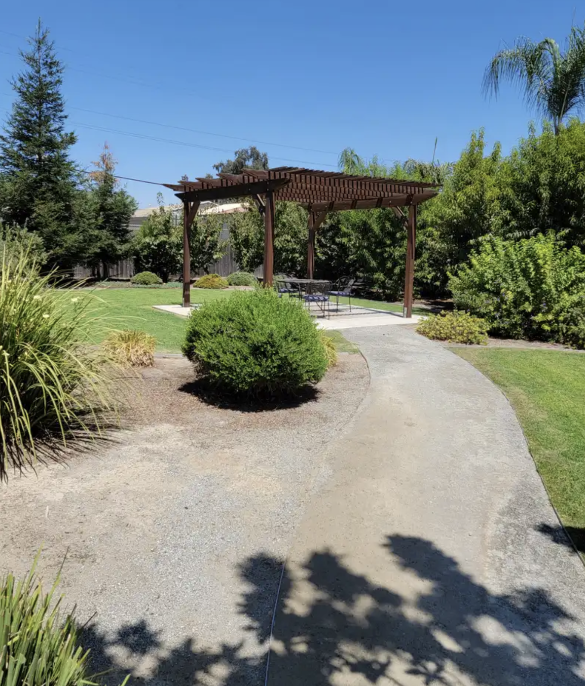A garden with a curved gravel pathway leading to a wooden pergola with outdoor furniture underneath, surrounded by green bushes and trees on a sunny day.