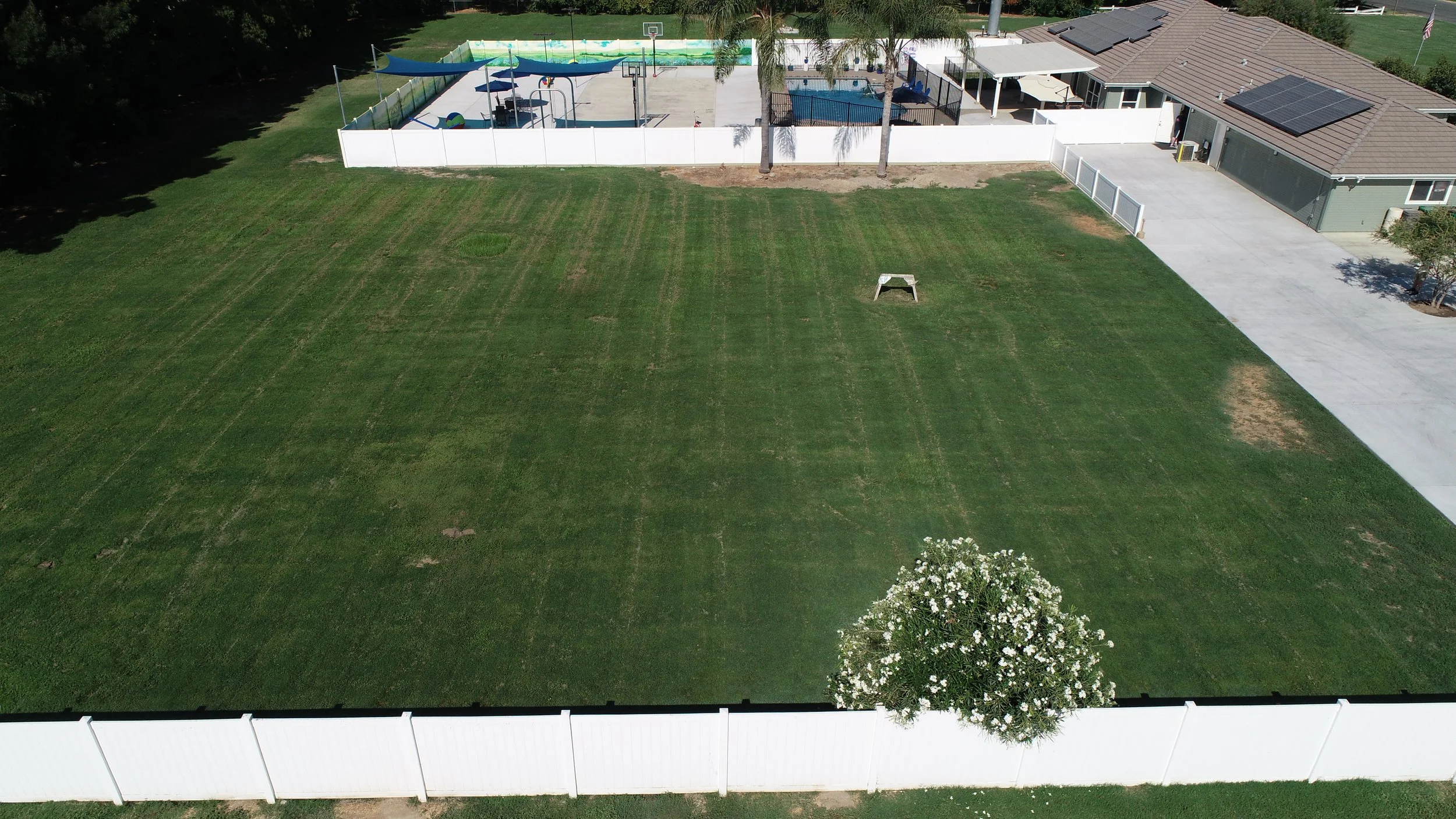 A backyard with a white privacy fence, a grassy lawn, a flowered tree, a sports court with a basketball hoop, a swimming pool, and a patio house with solar panels.