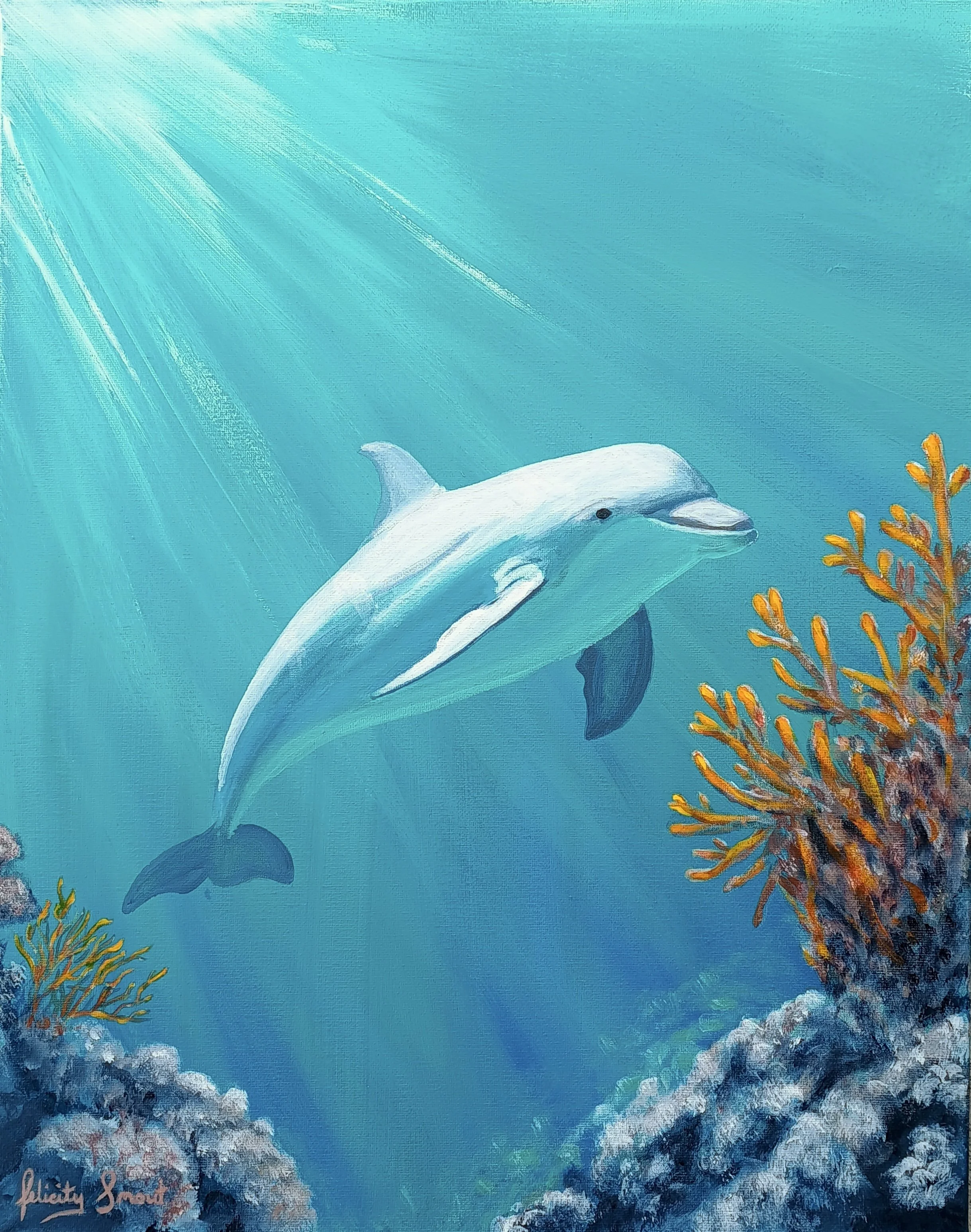 Rana - Available Acrylic on canvas. 50 x 40 x 3.5 cm $750