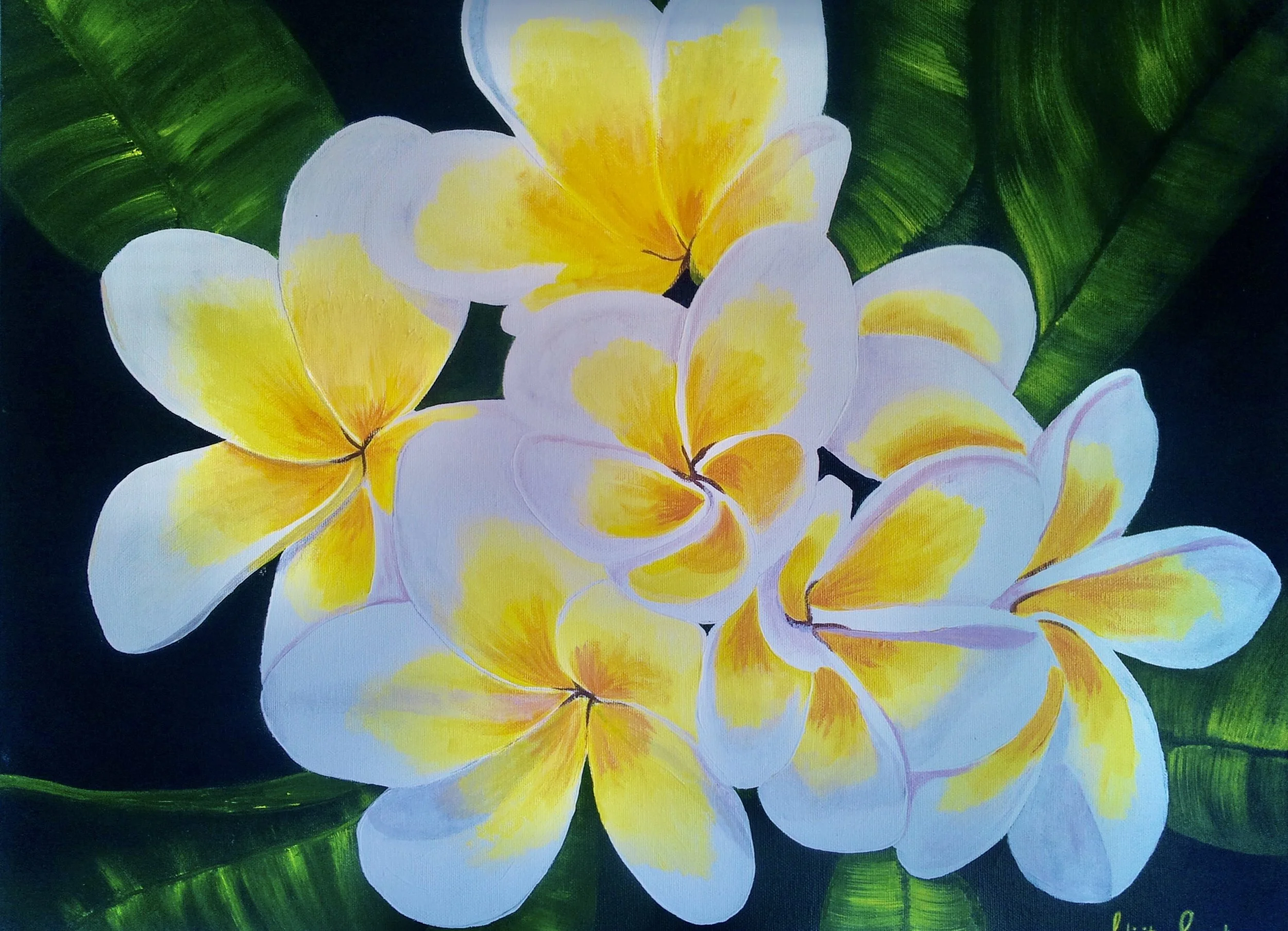 Frangipanis - Sold❤️ 
Acrylic on canvas