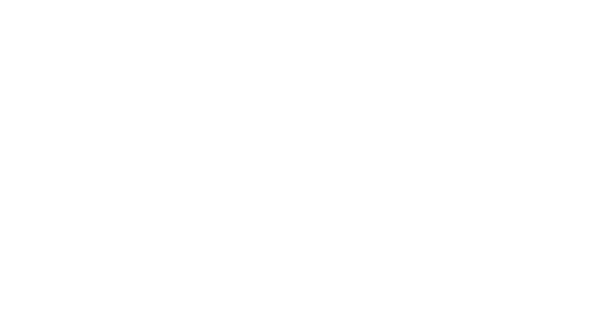 bonus.png