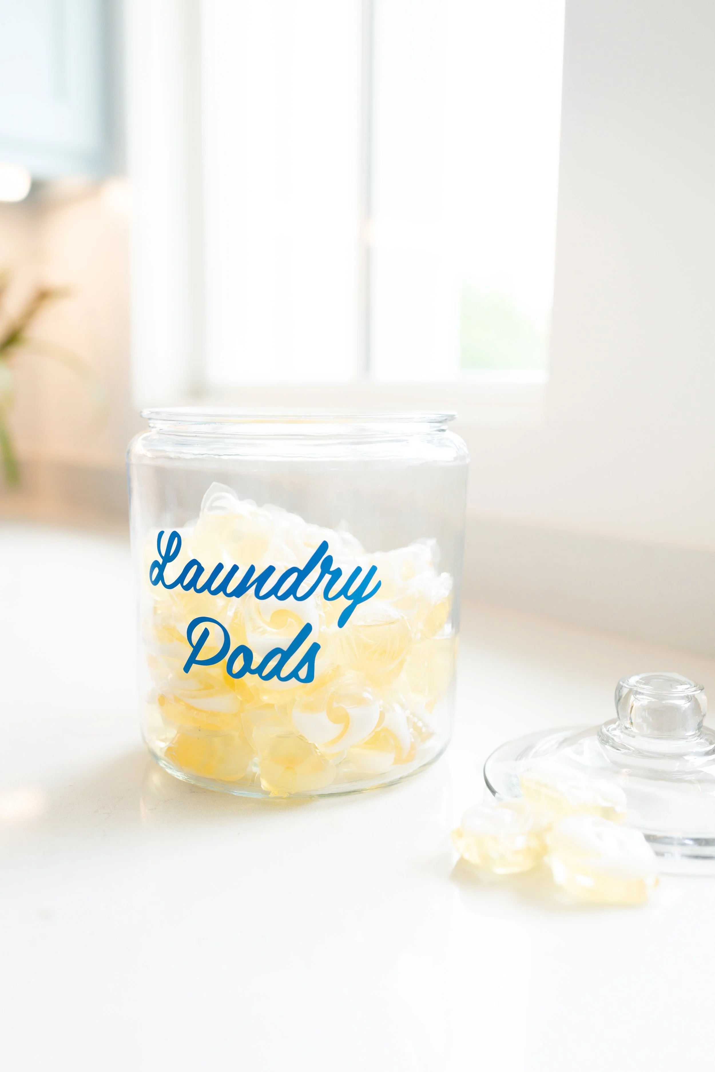 Laura Yeh Branding Session-102.jpg