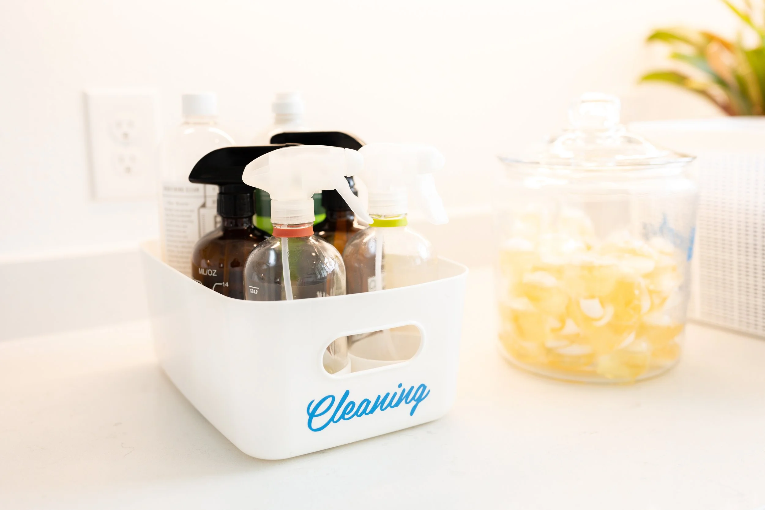 Laura Yeh Branding Session-100.jpg