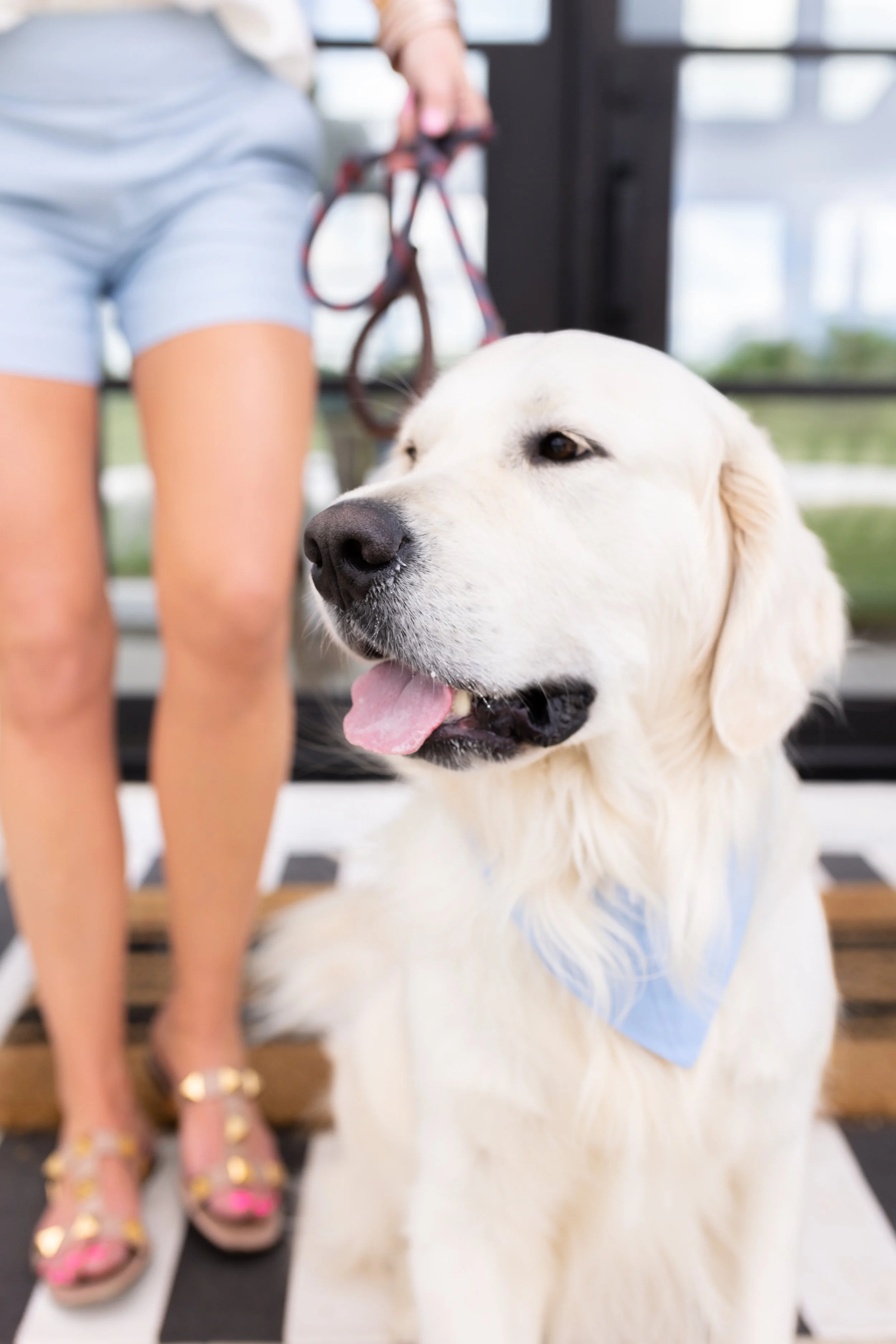 Maggie Dieter Branding Session-48.jpg