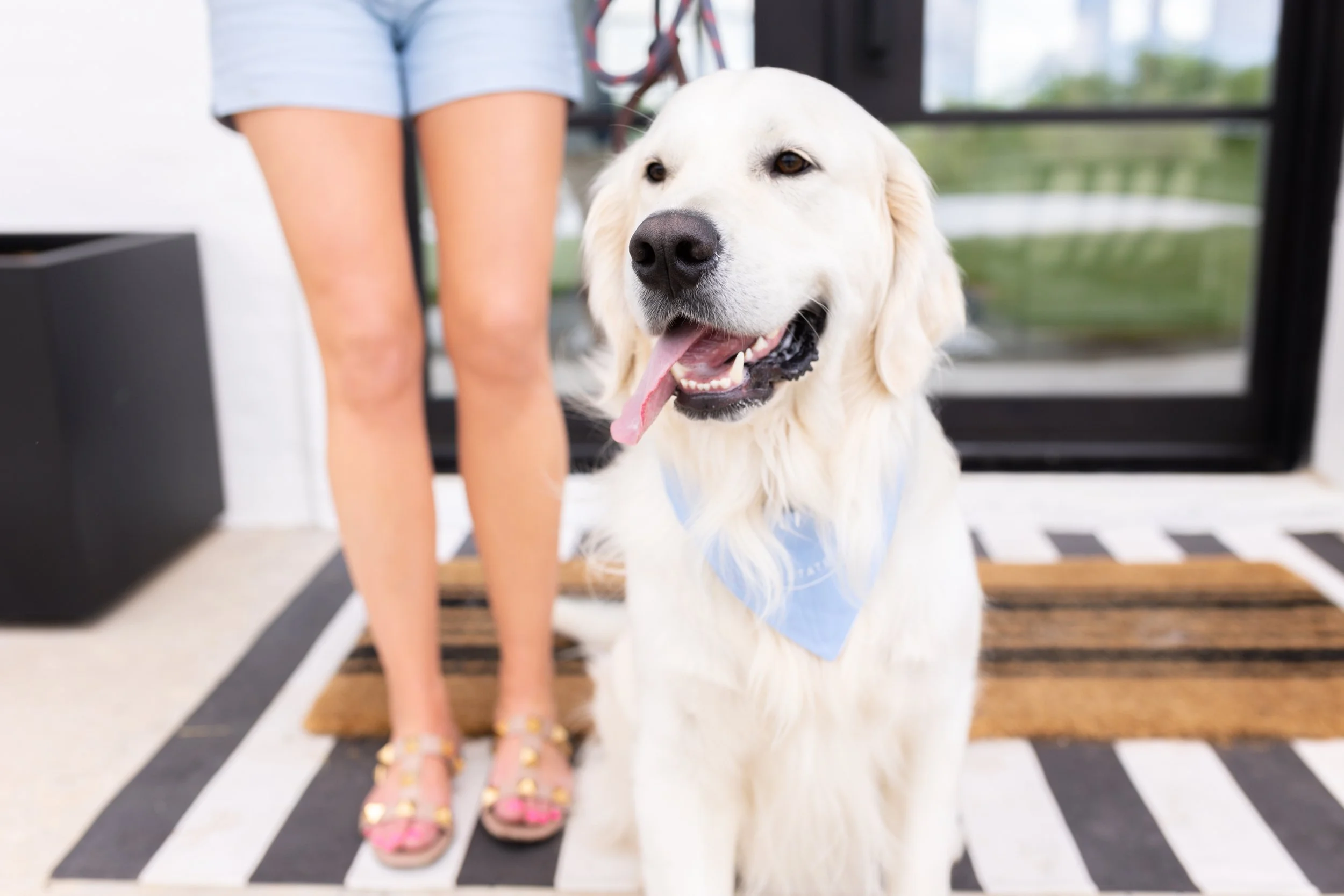 Maggie Dieter Branding Session-47.jpg