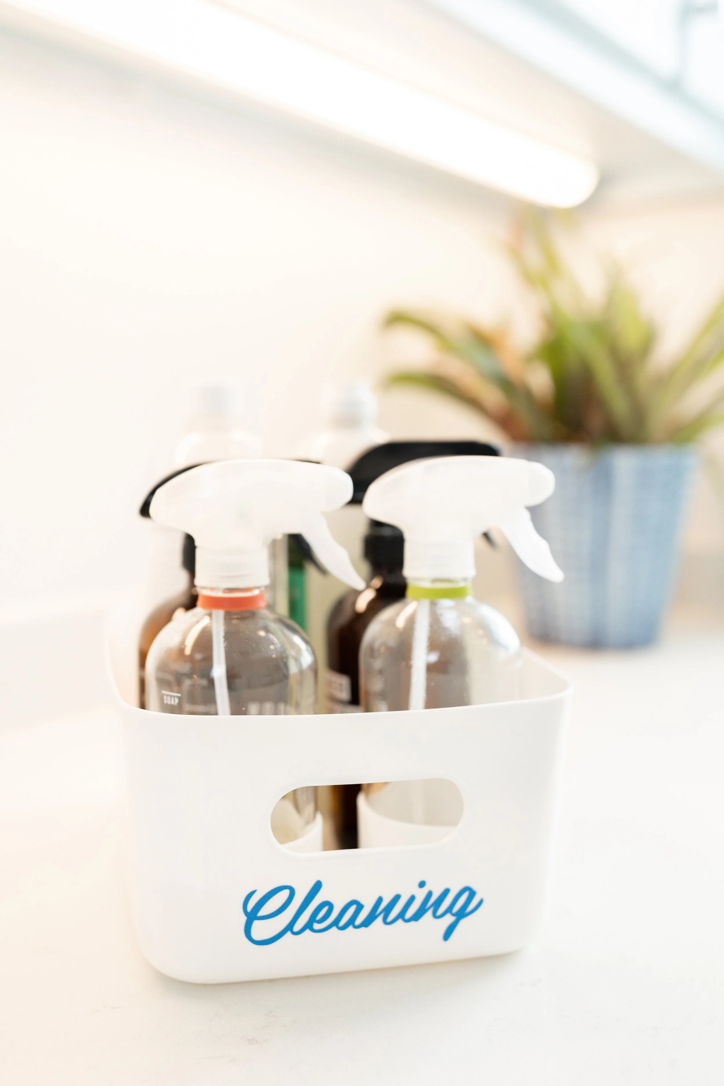 Laura Yeh Branding Session-121.jpg