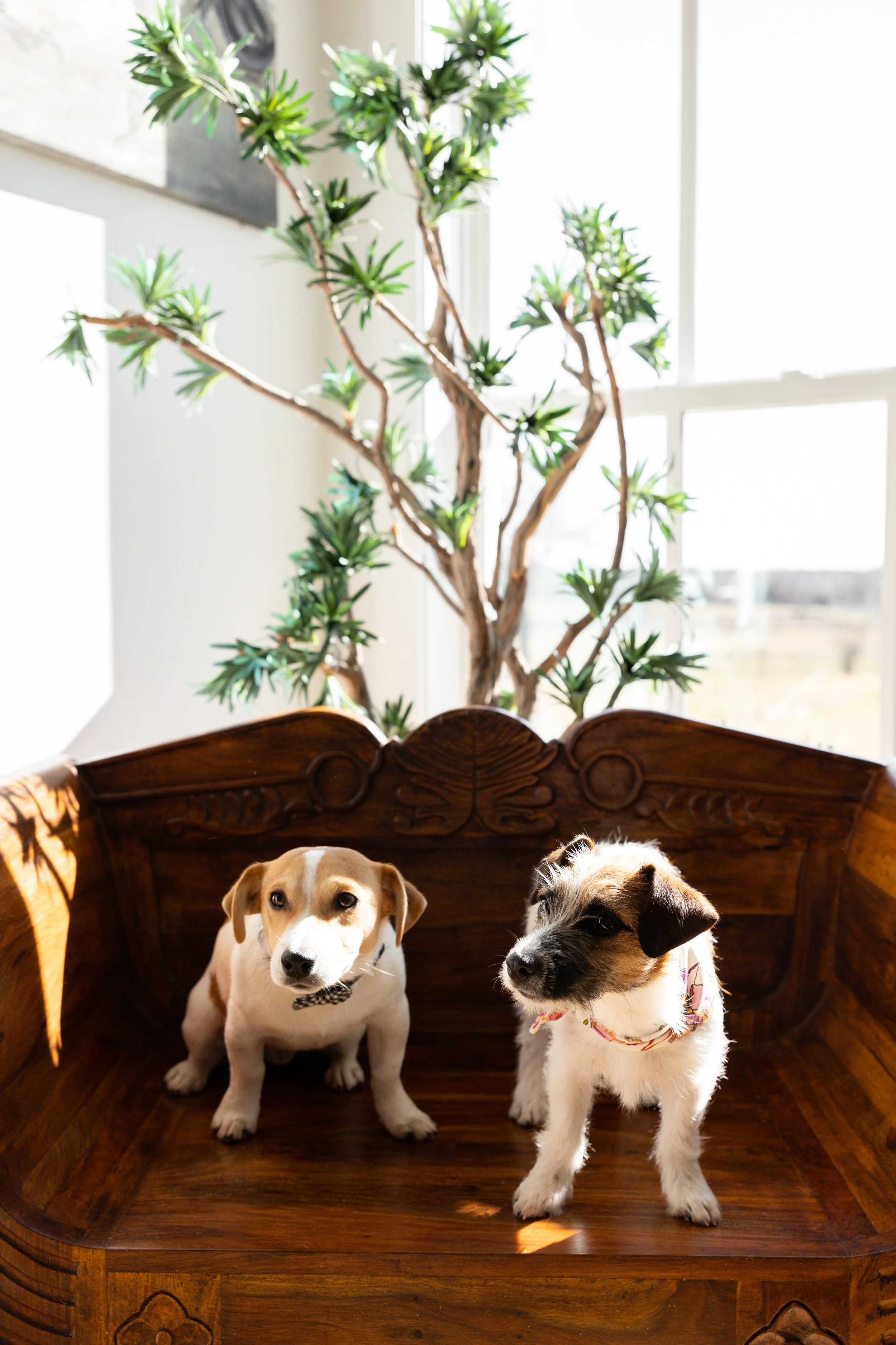 Terri Karr Branding Session-236.jpg