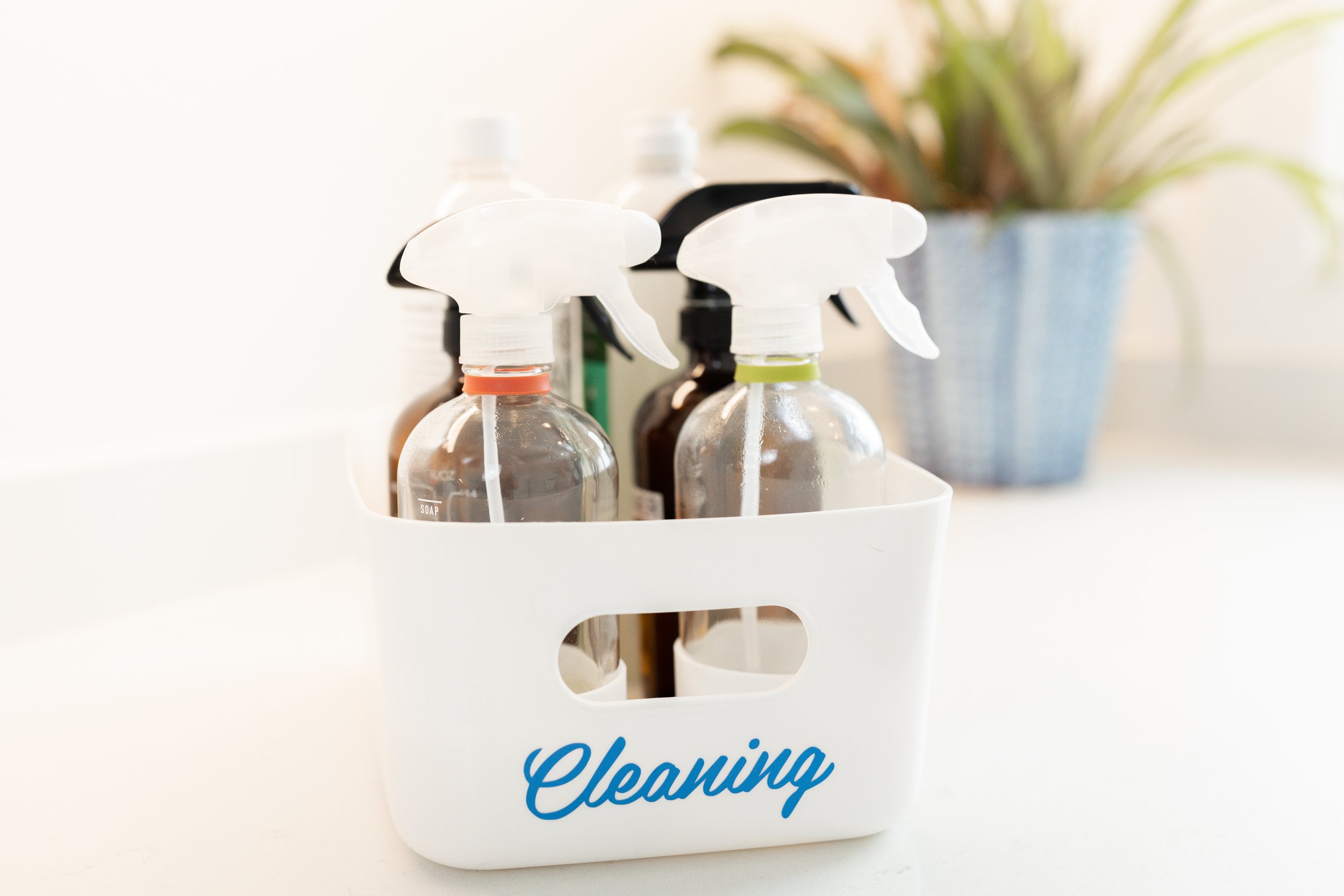 Laura Yeh Branding Session-120.jpg