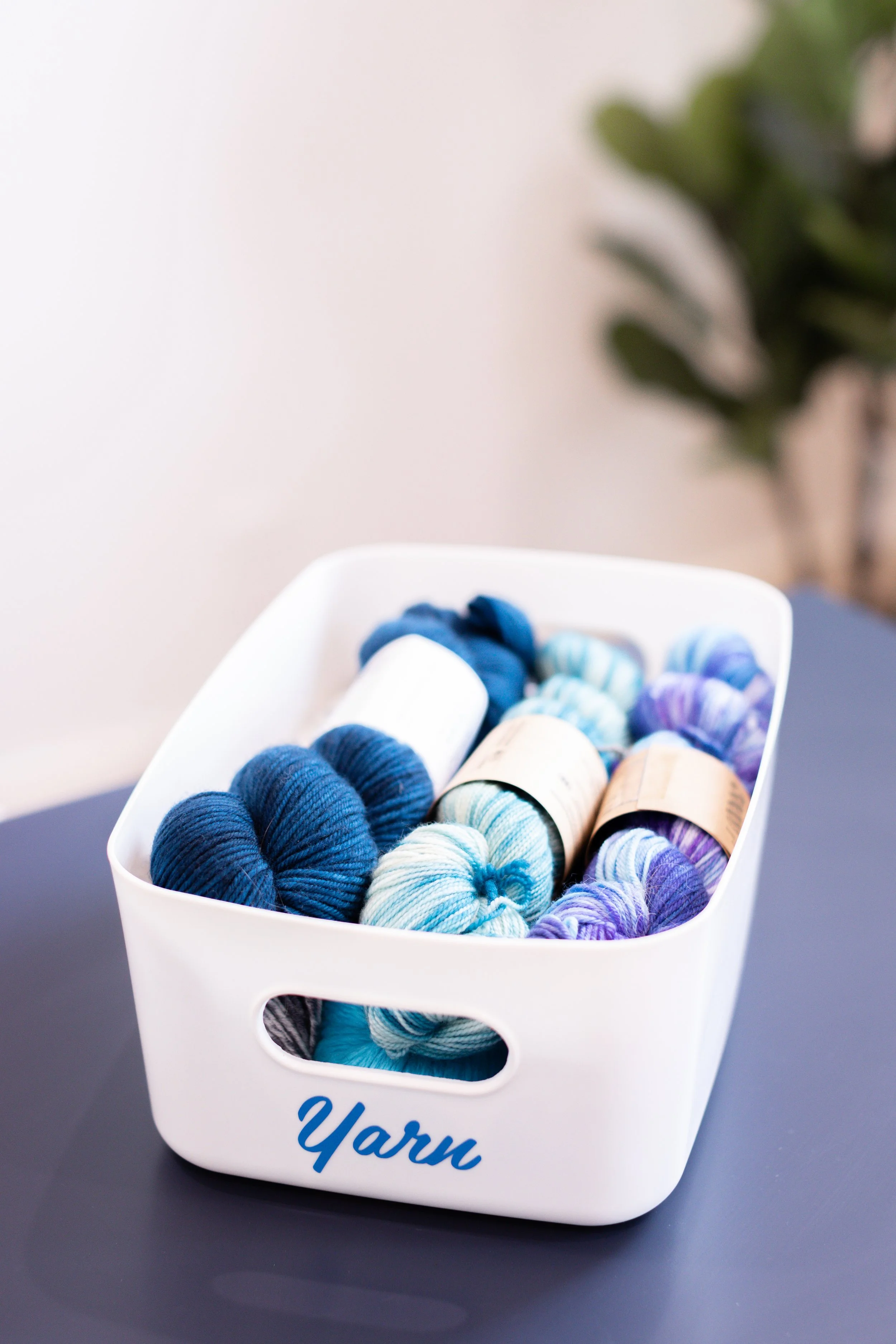 Laura Yeh Branding Session-171.jpg