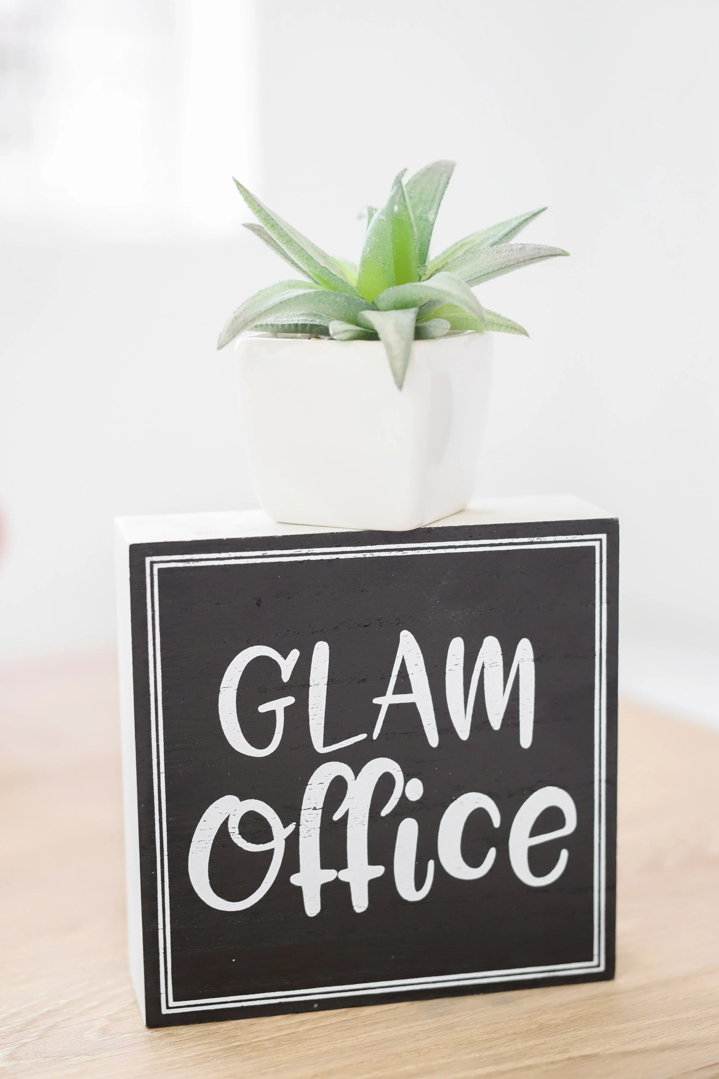 Haley and Amber Branding Session -1.jpg