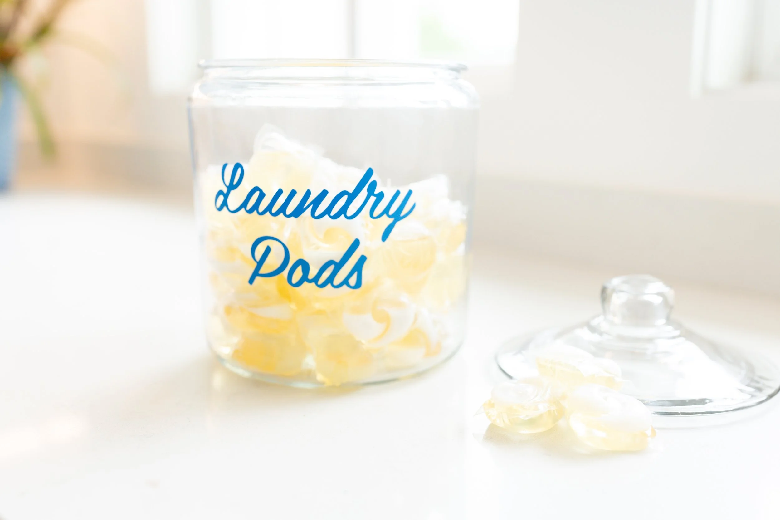 Laura Yeh Branding Session-101.jpg