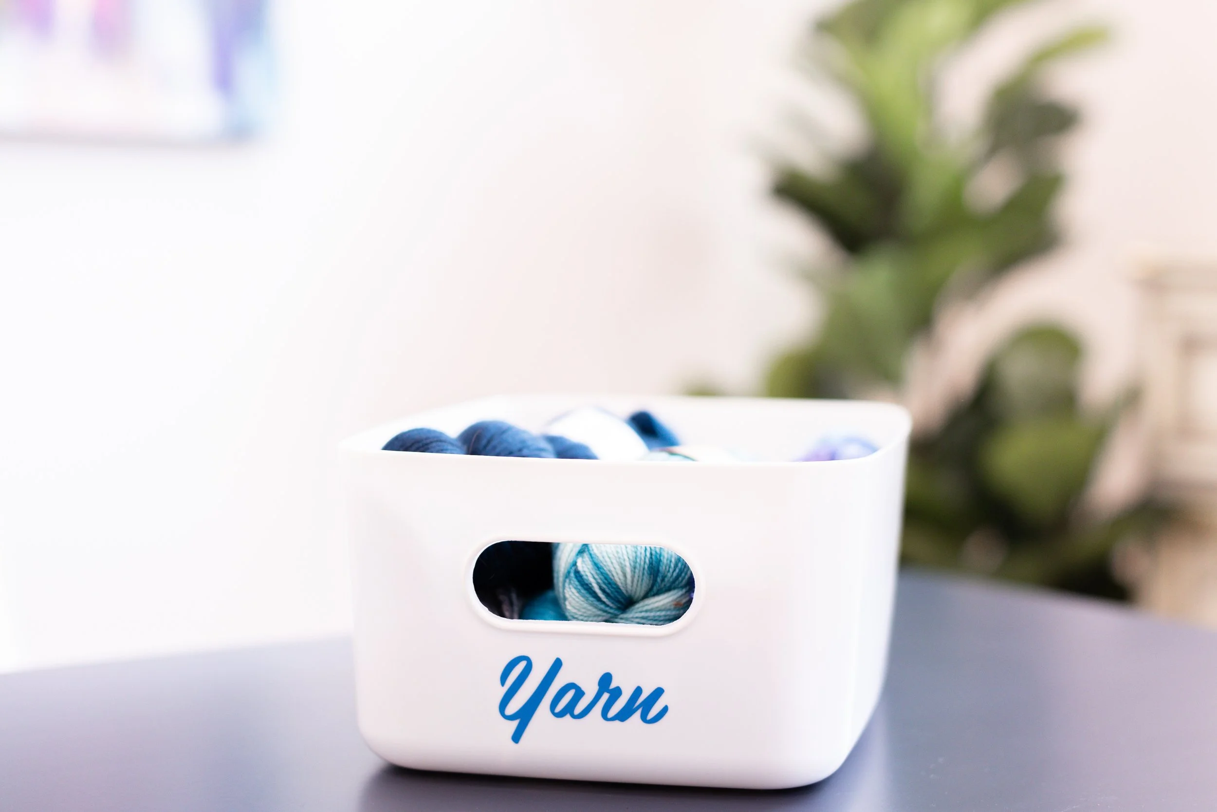 Laura Yeh Branding Session-169.jpg