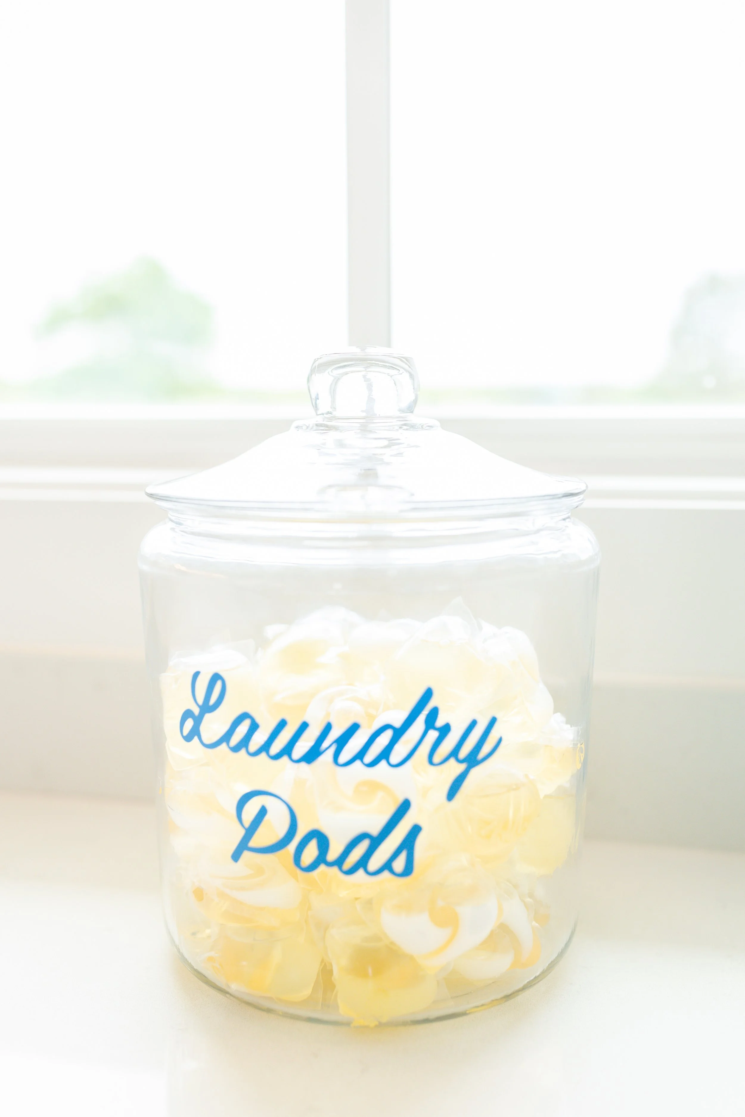 Laura Yeh Branding Session-122.jpg