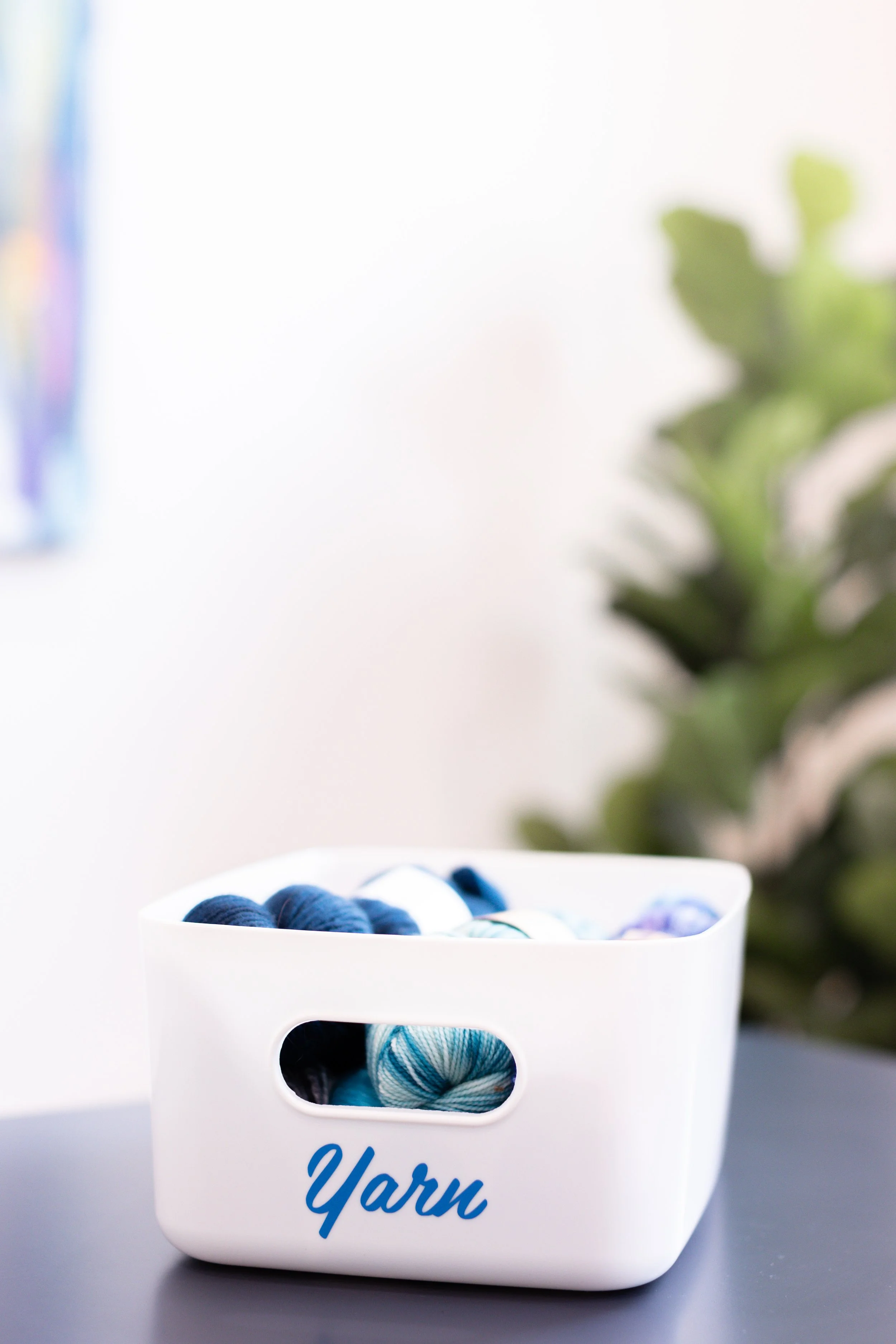 Laura Yeh Branding Session-170.jpg