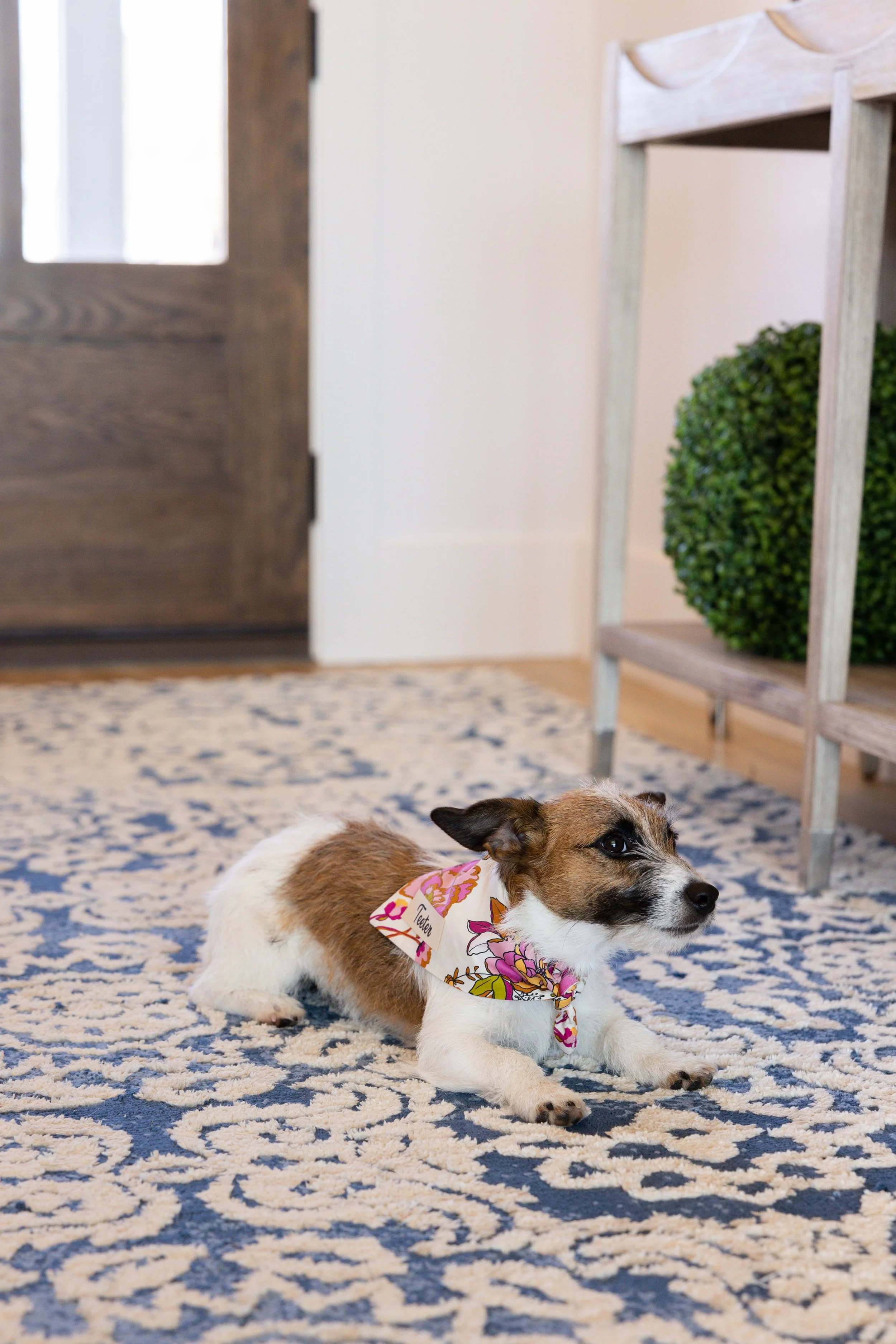 Terri Karr Branding Session-238.jpg