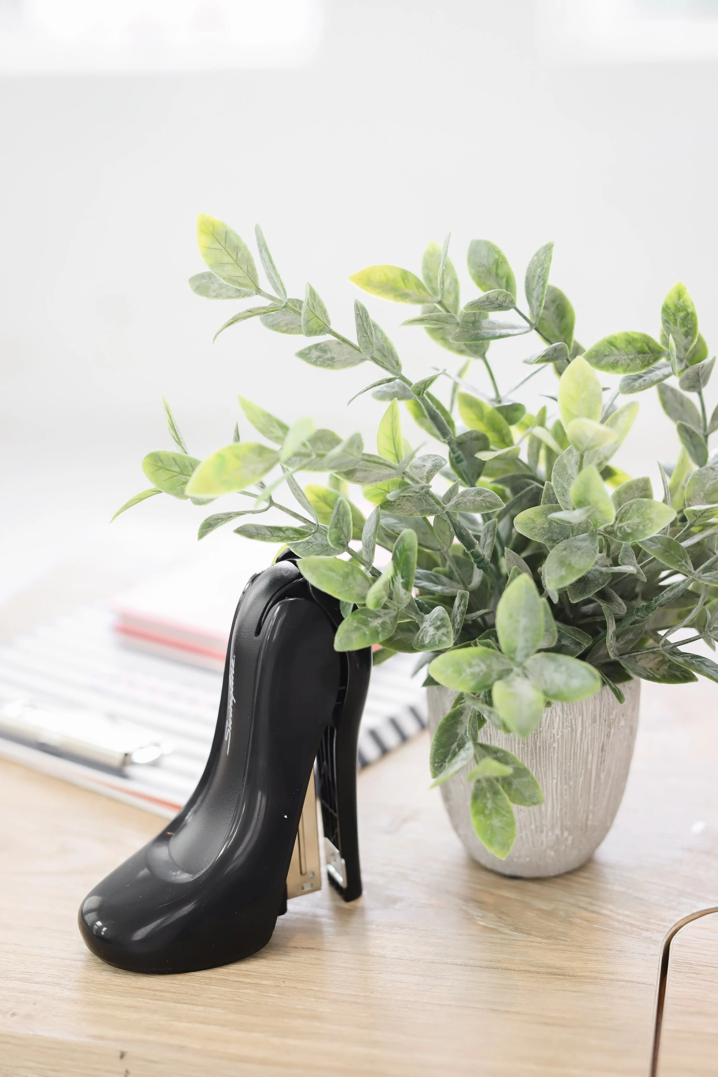 Haley and Amber Branding Session -2.jpg