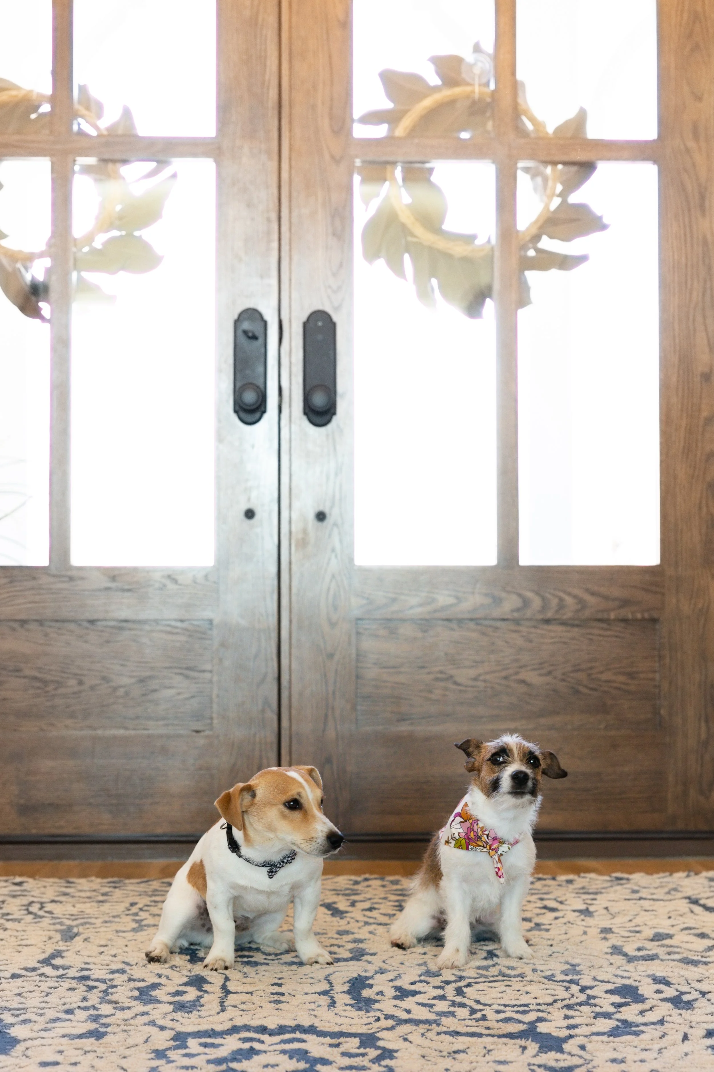 Terri Karr Branding Session-237.jpg