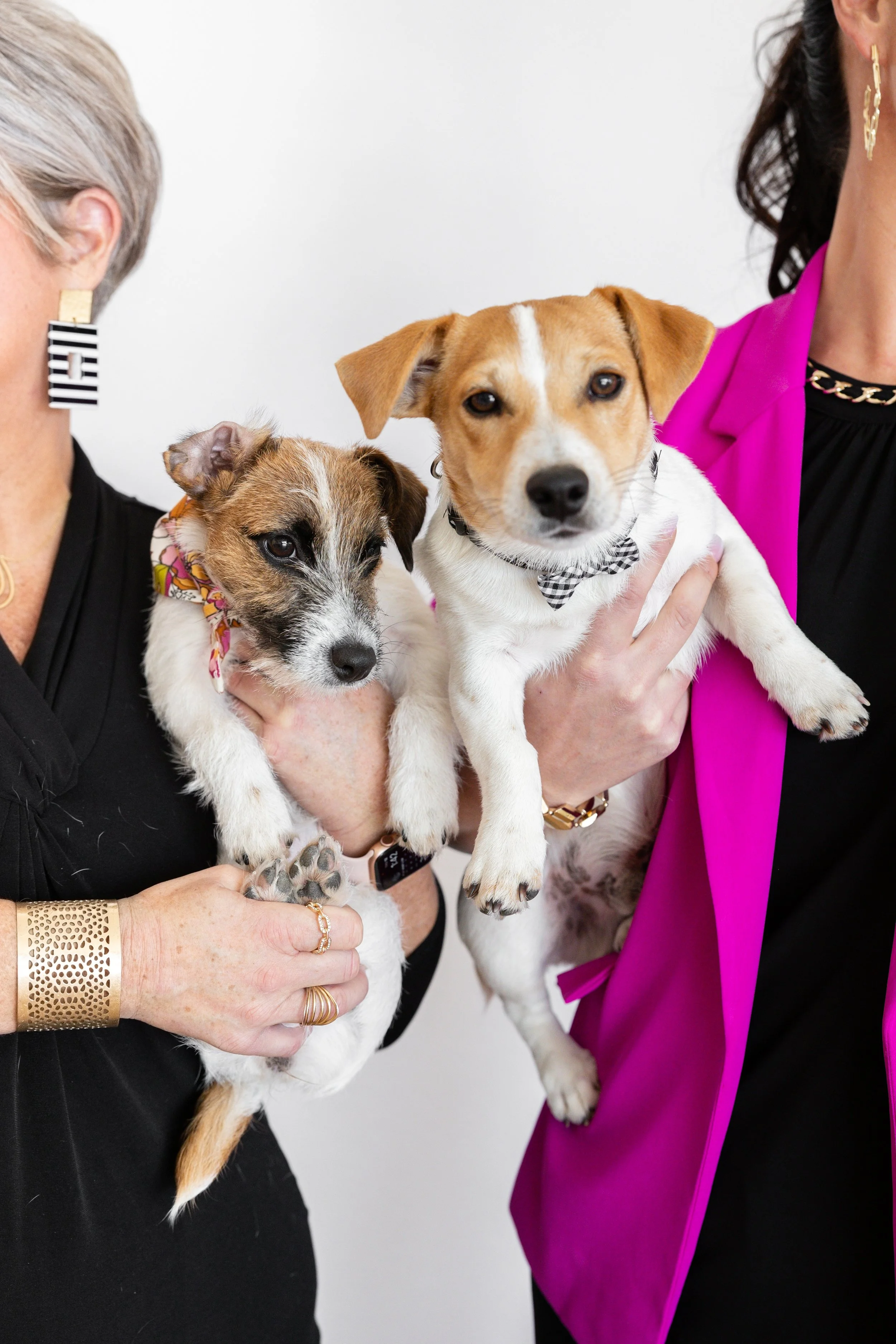 Terri Karr Branding Session-222.jpg