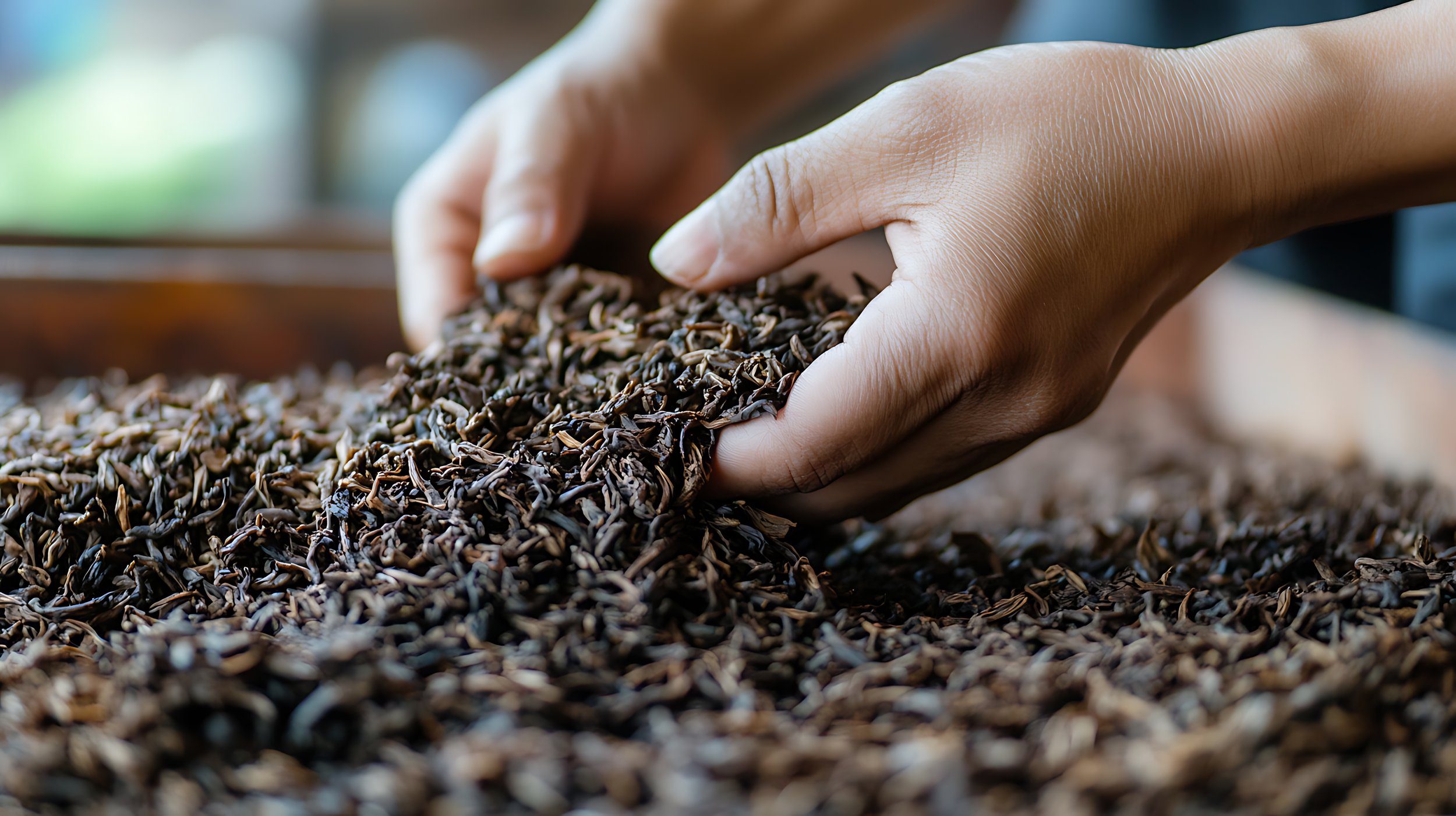 hands holding dry black tea