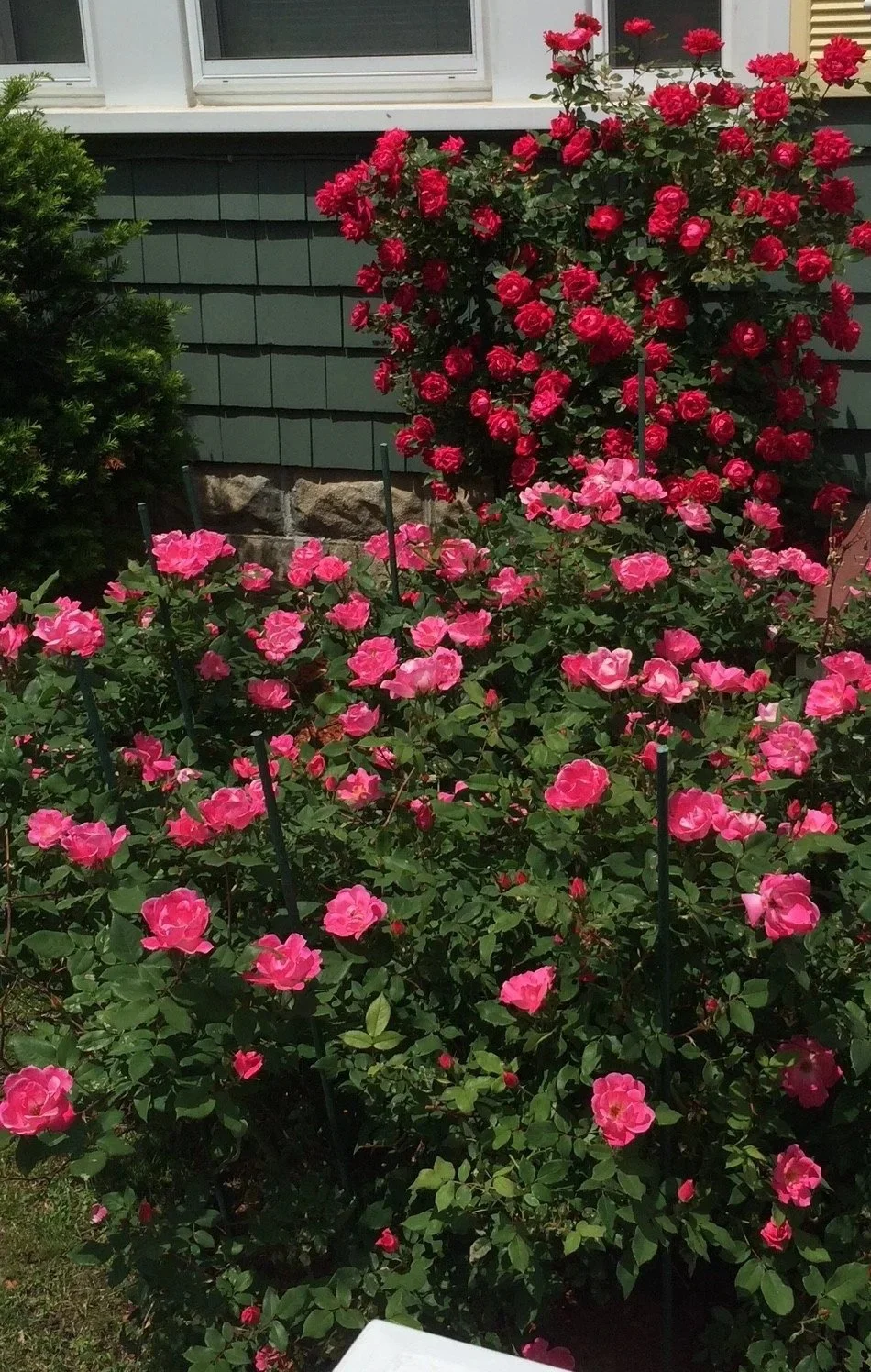 Anniversary Links-age